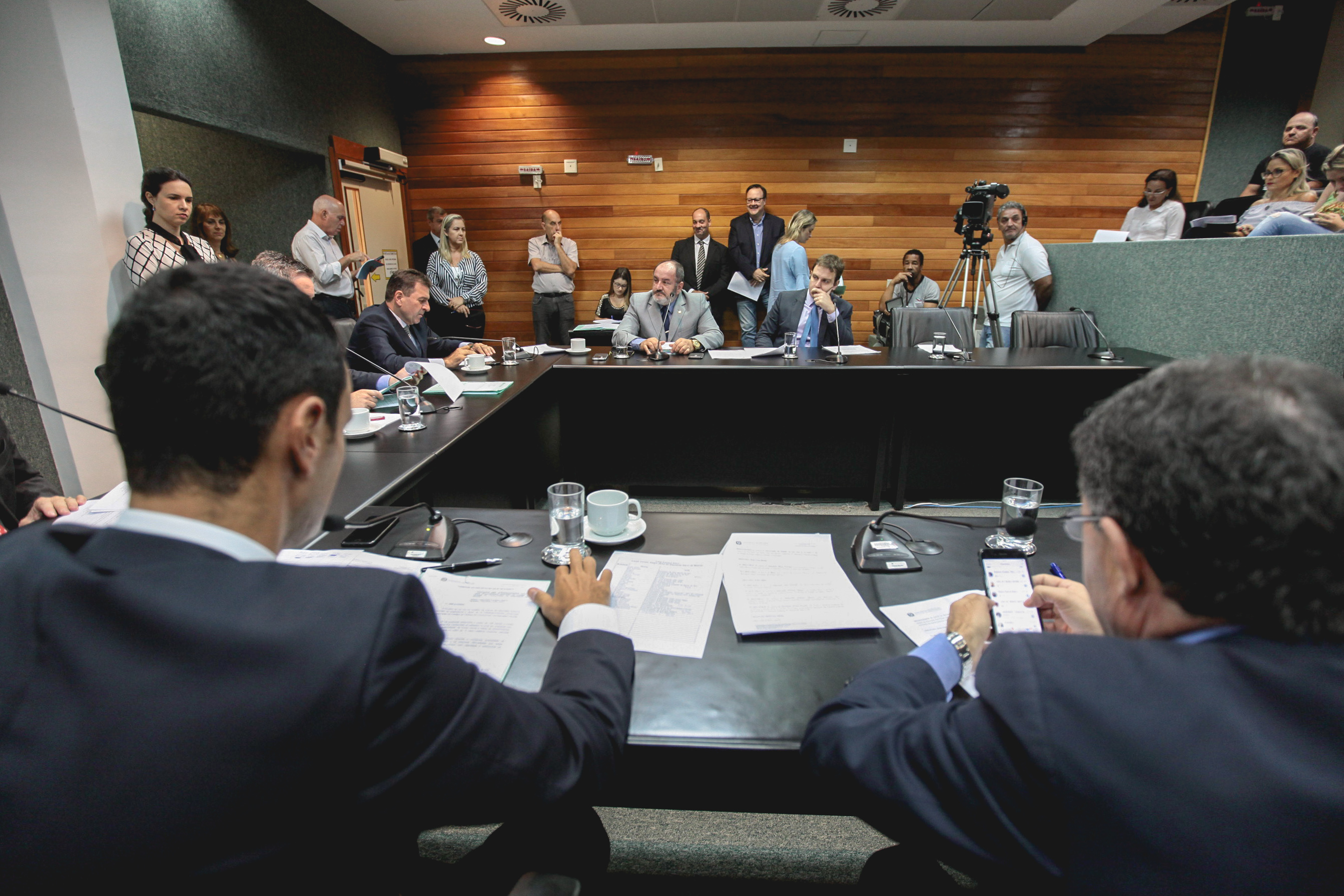 Comissão de Constituição e Justiça.