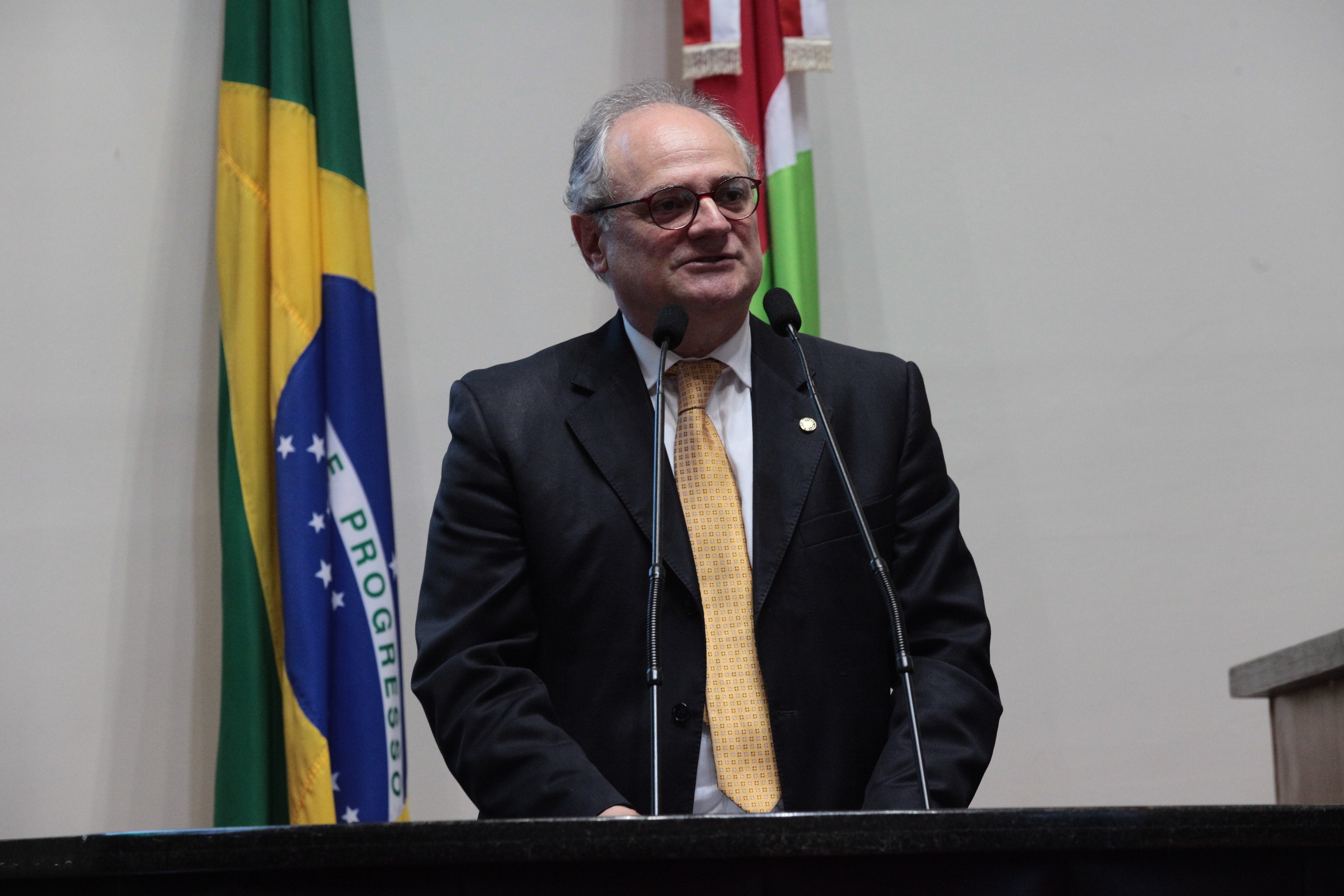 Sessão Plenária