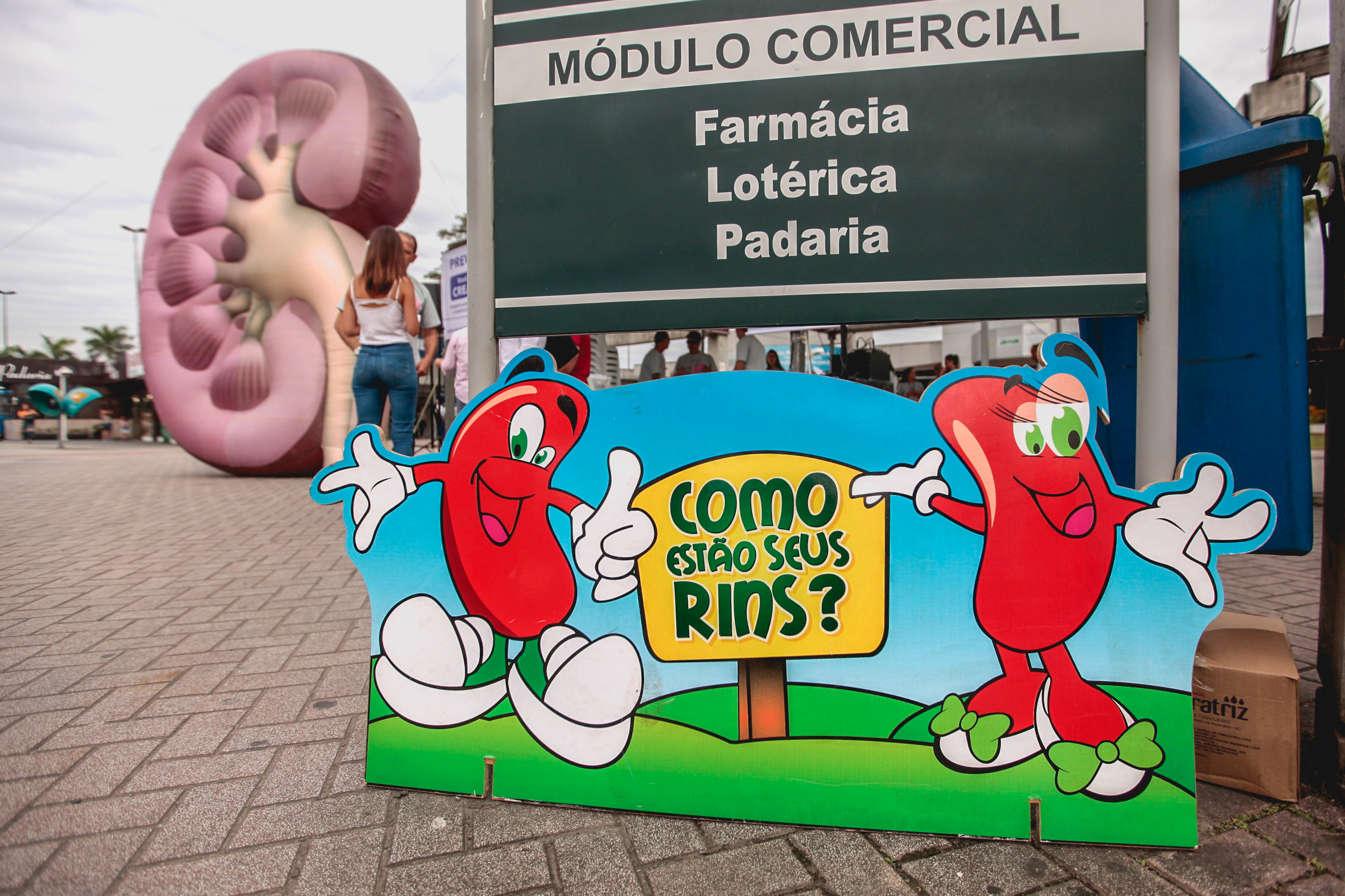 Prevenção de doenças renais.