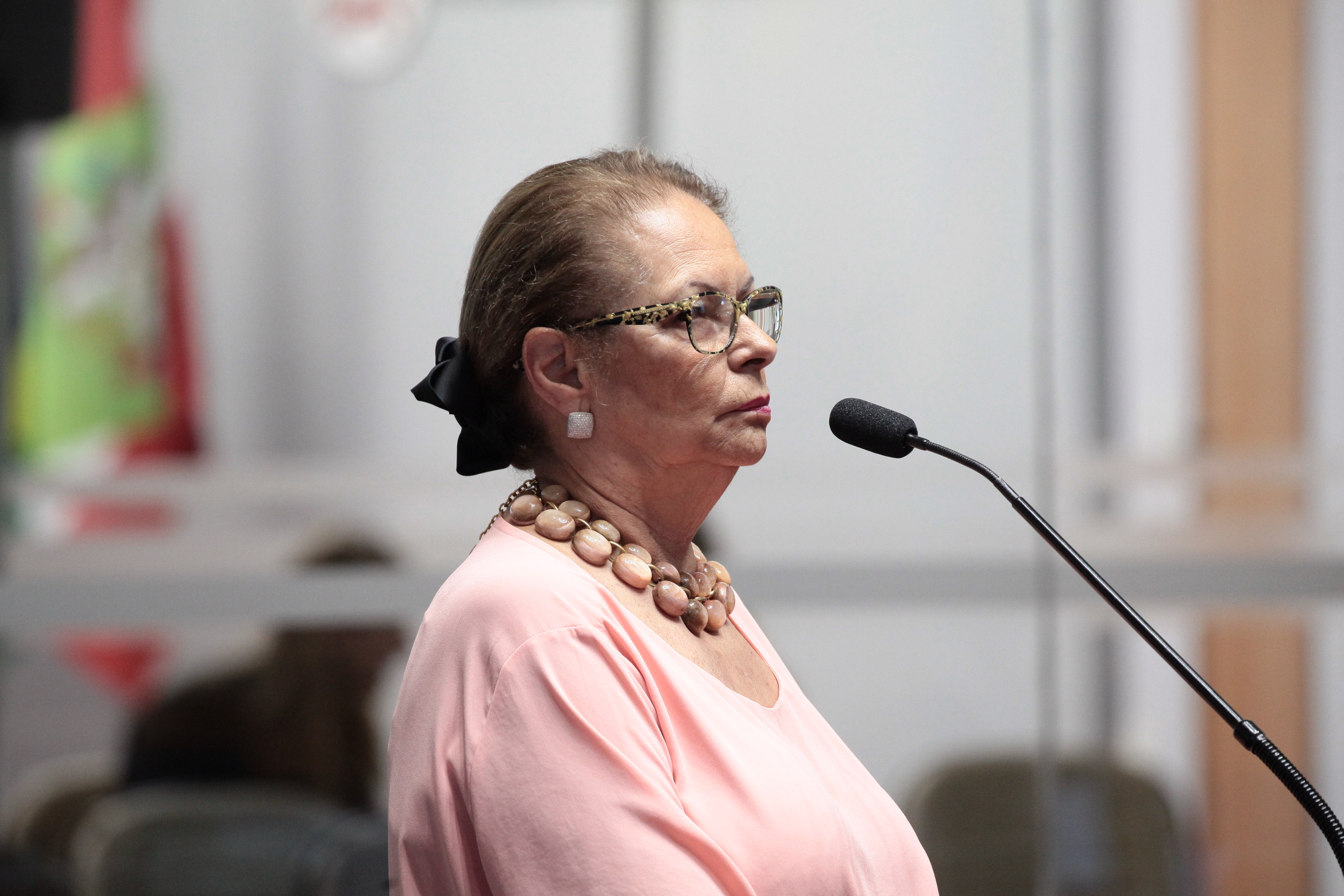 Deputada Ada Faraco de Luca (PMDB)