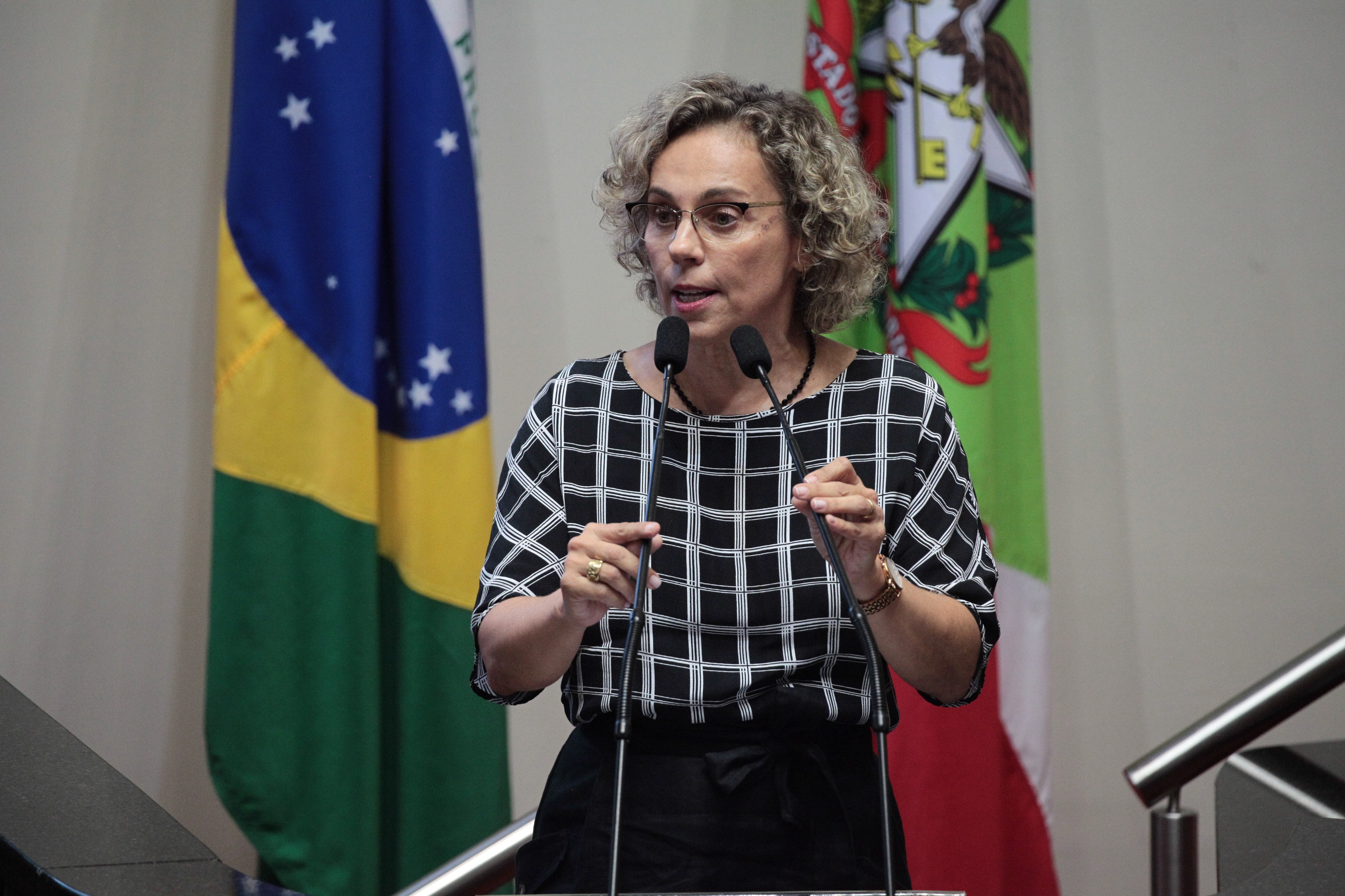 Sessão Ordinária - Deputada Ana Paula Lima (PT)