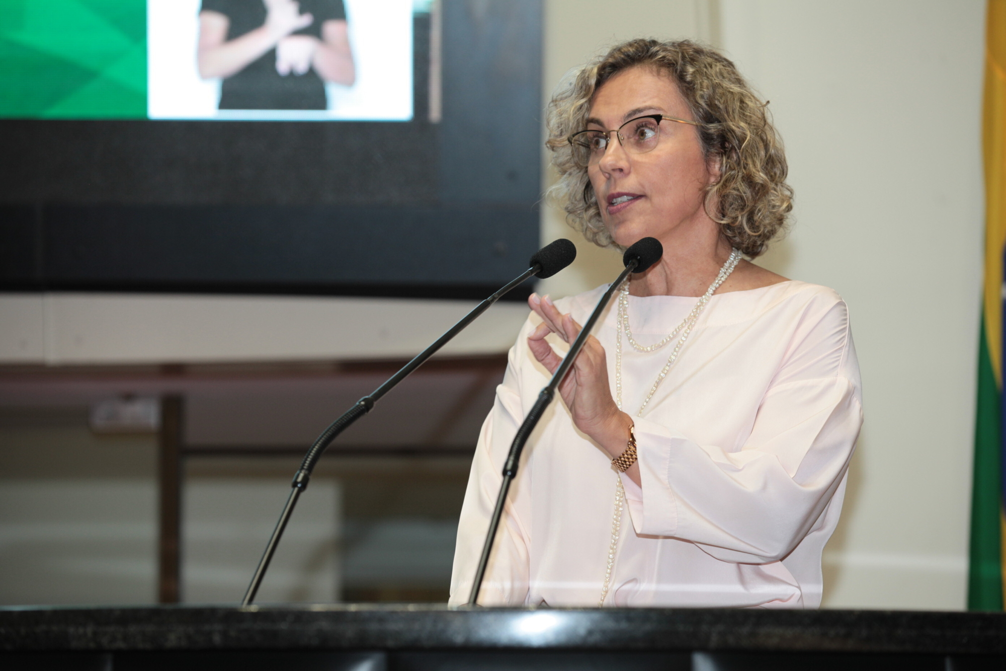 Ana Paula diz que política de desenvolvimento regional fracassou em Santa Catarina