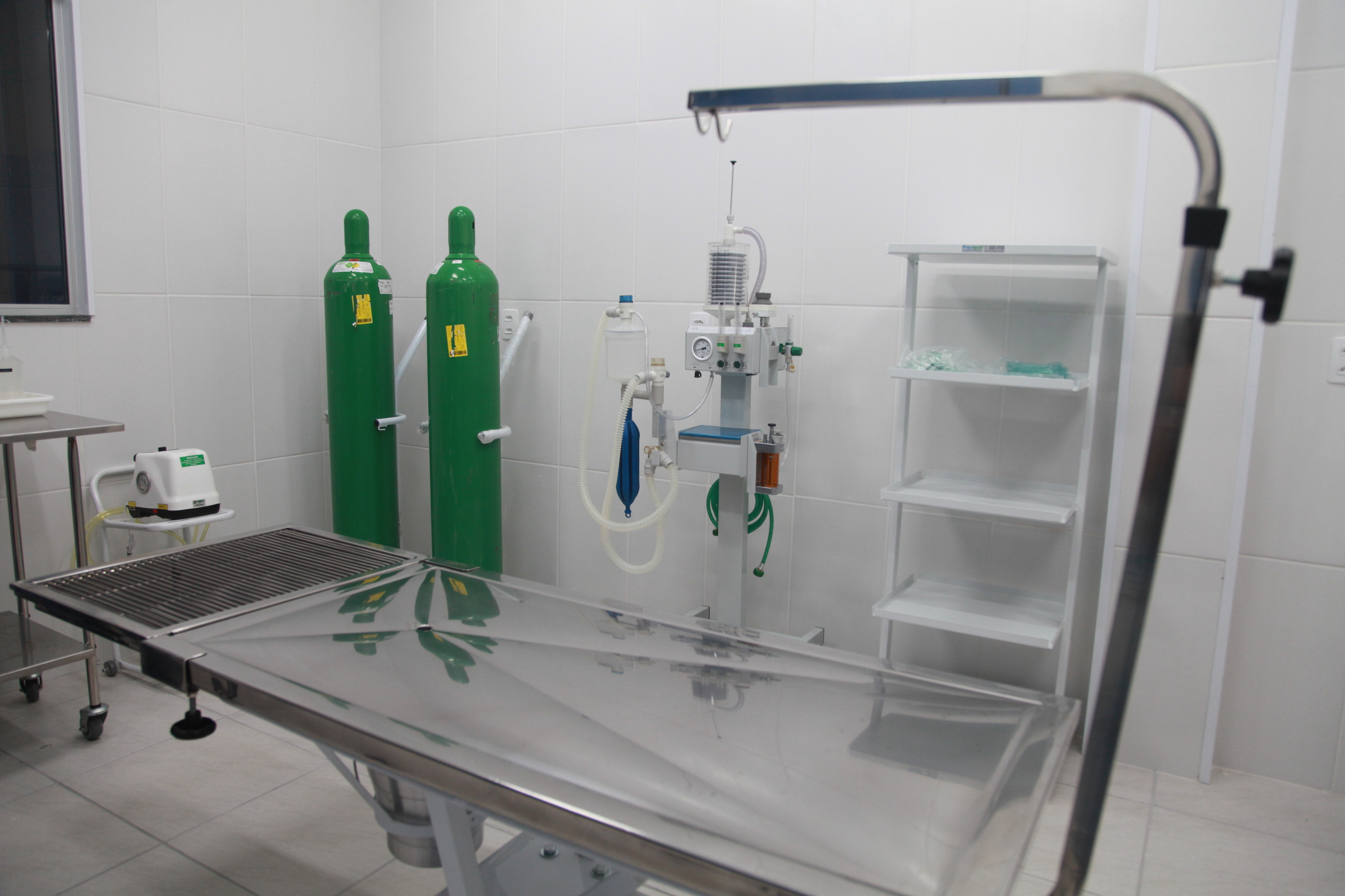 Centro de Reabilitação de Animais Marinhos.