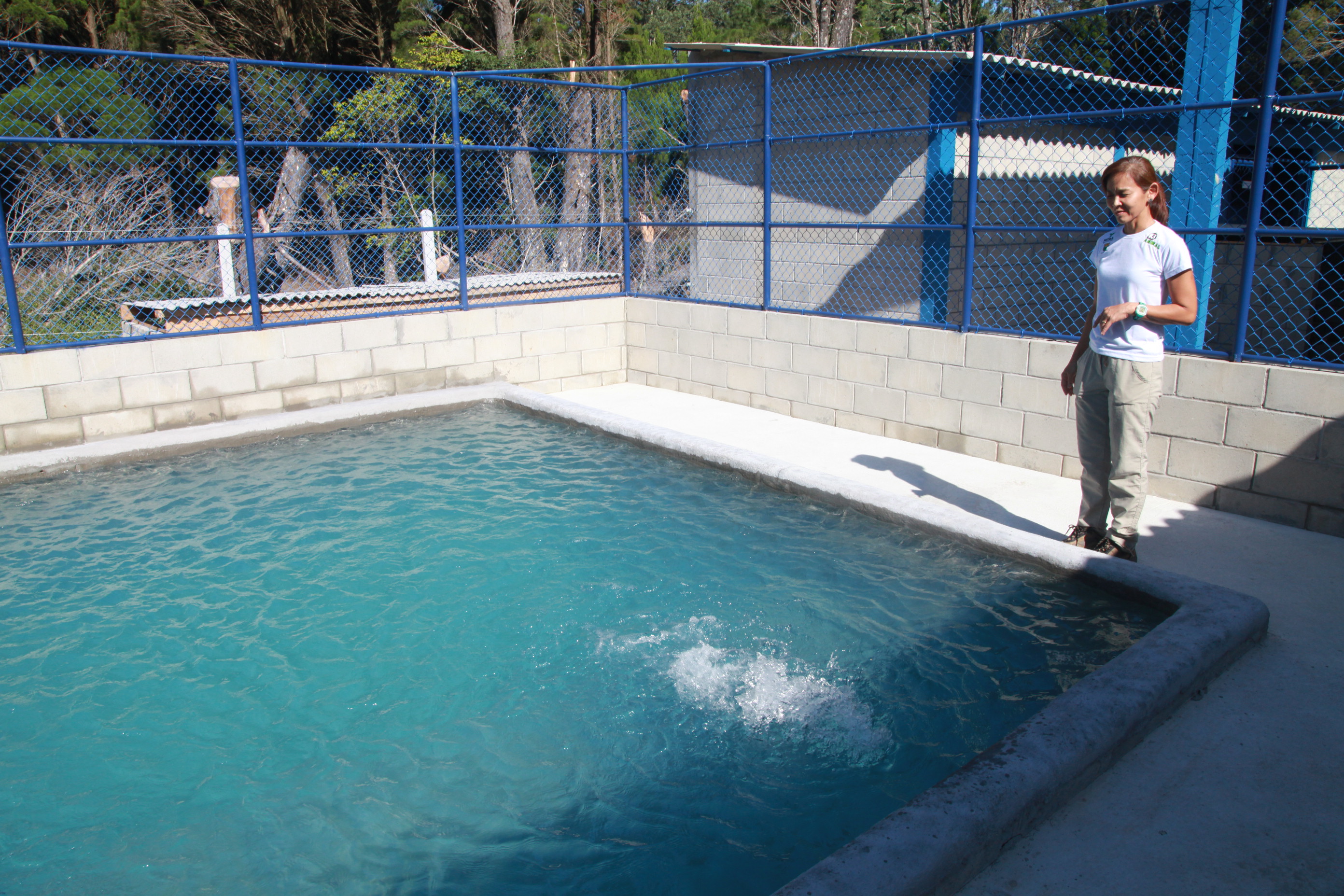 Centro de Reabilitação de Animais Marinhos.