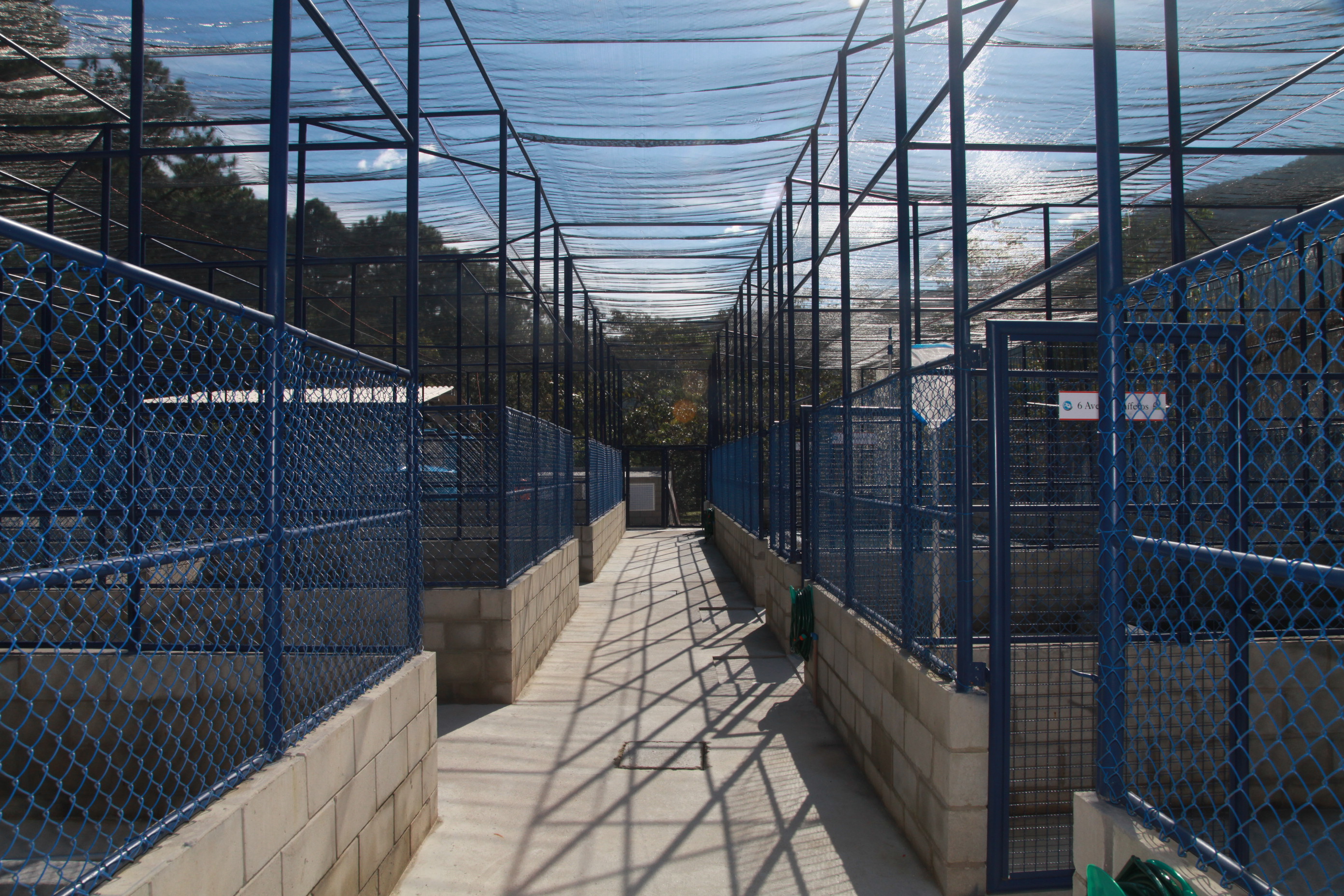 Centro de Reabilitação de Animais Marinhos.