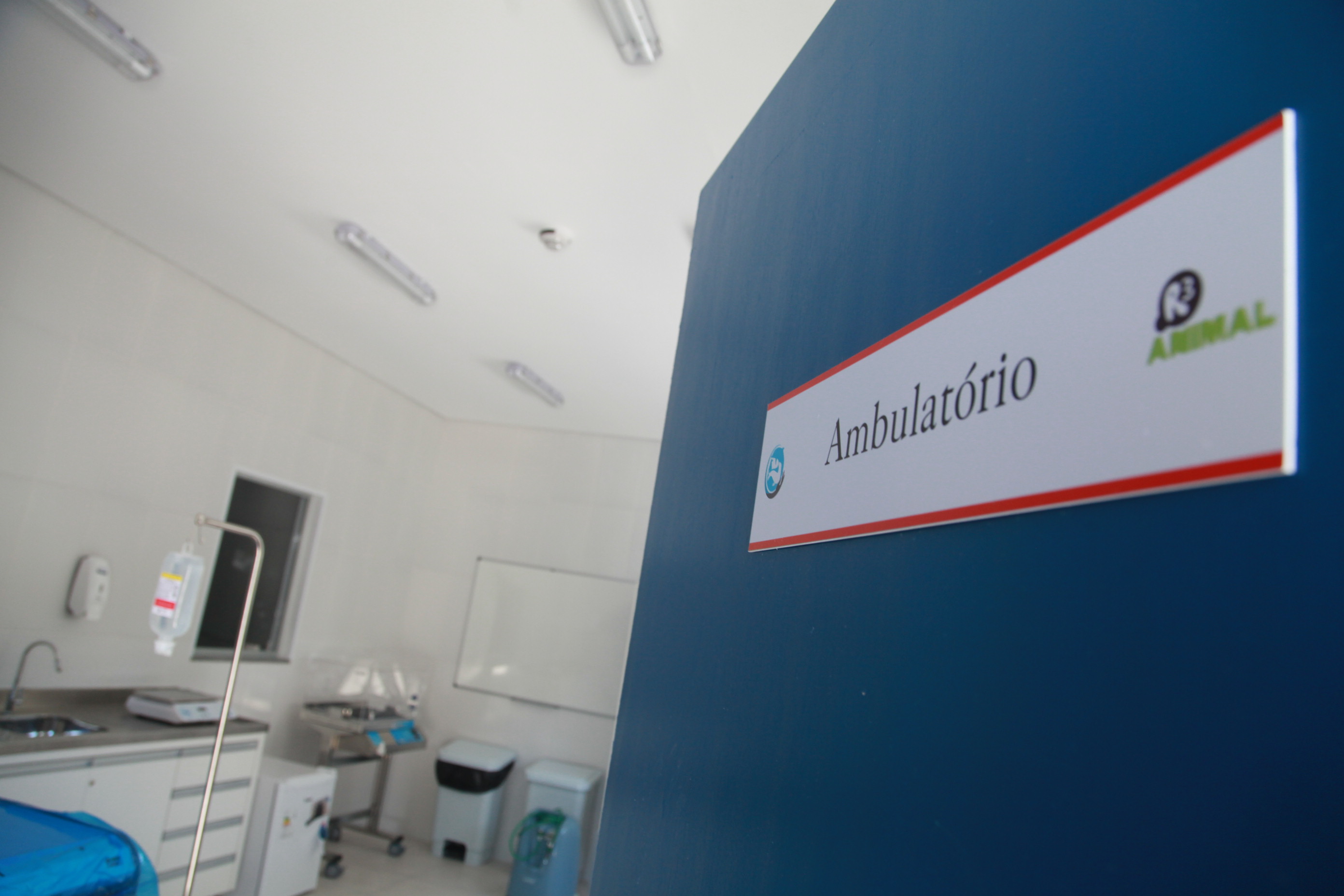 Centro de Reabilitação de Animais Marinhos.