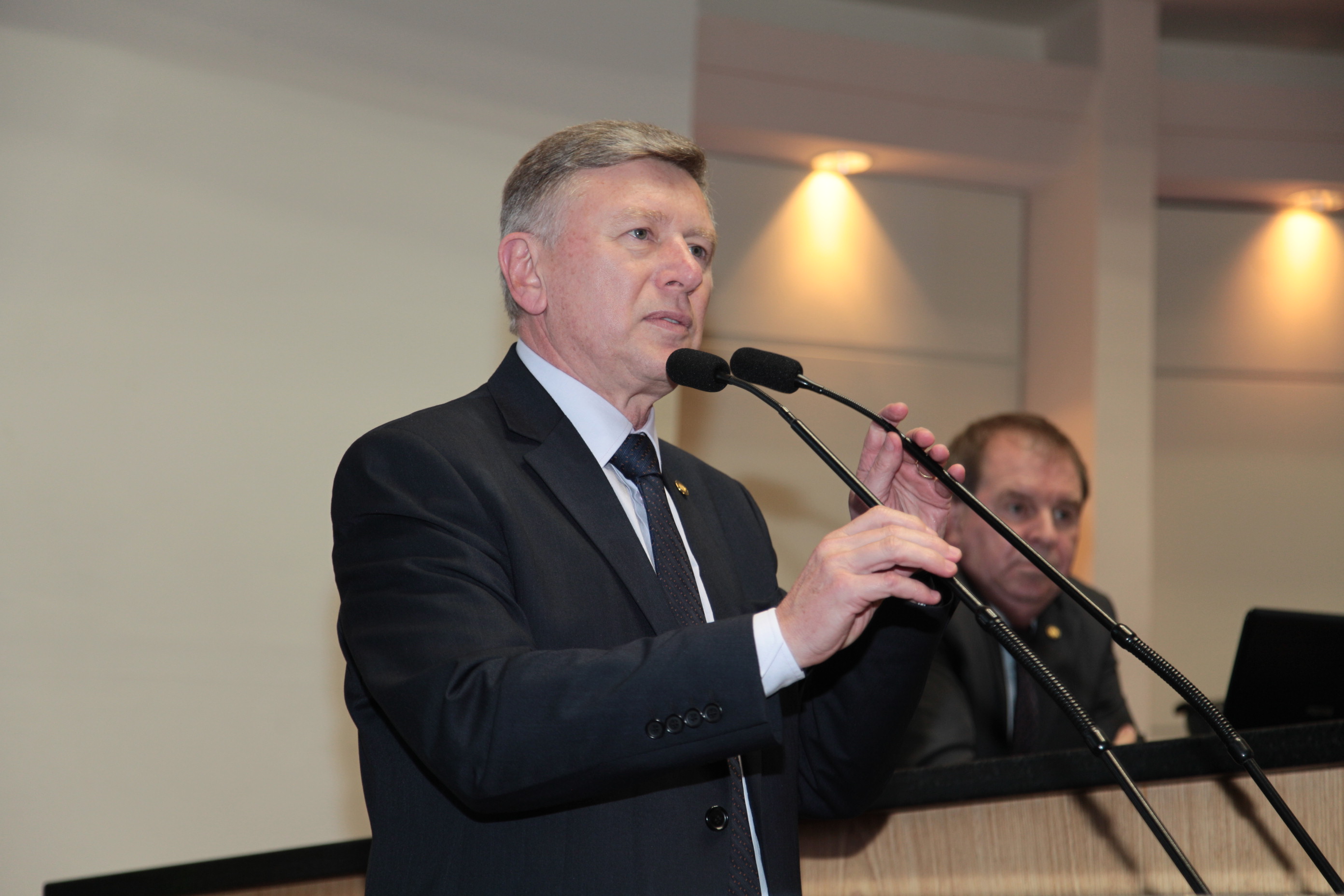 Sessão Plenária - Deputado Milton Hobus (PSD)