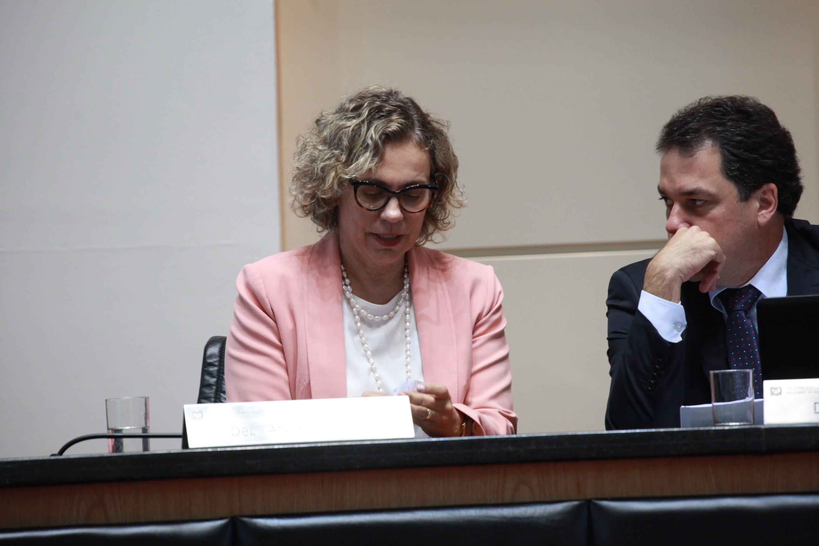 Deputada Ana Paula Lima (PT)