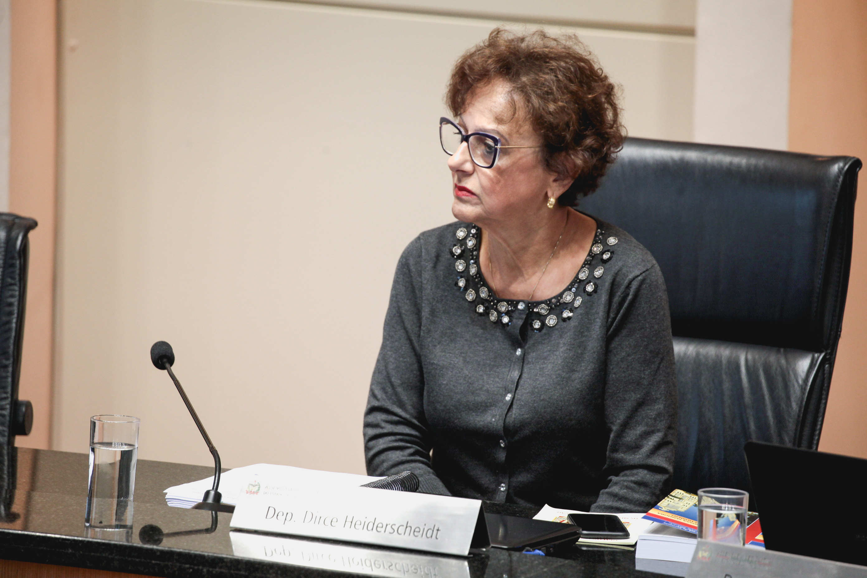 Deputada Dirce Heiderscheidt (PMDB). Sessão Ordinária.