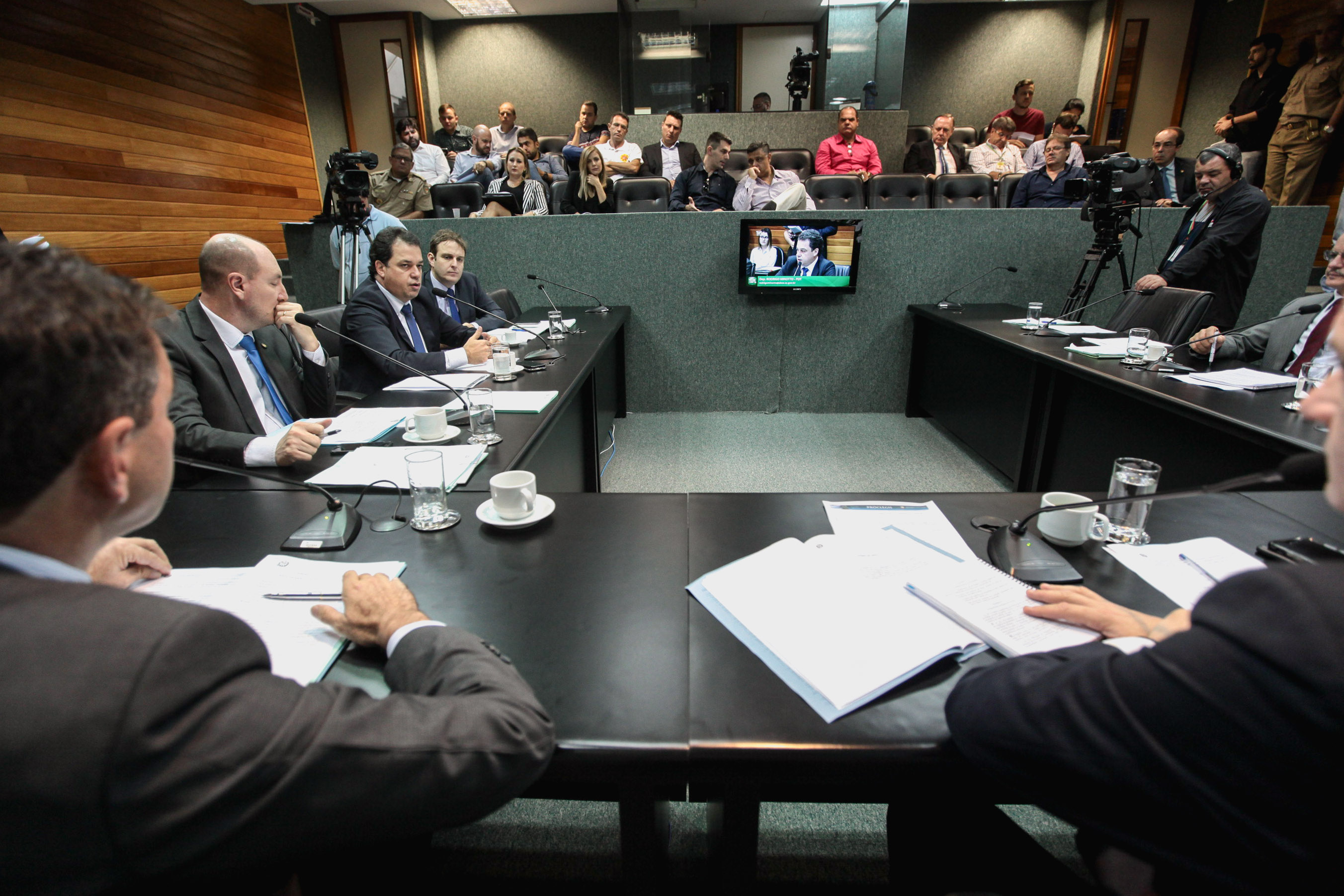 Comissão de Constituição e Justiça.