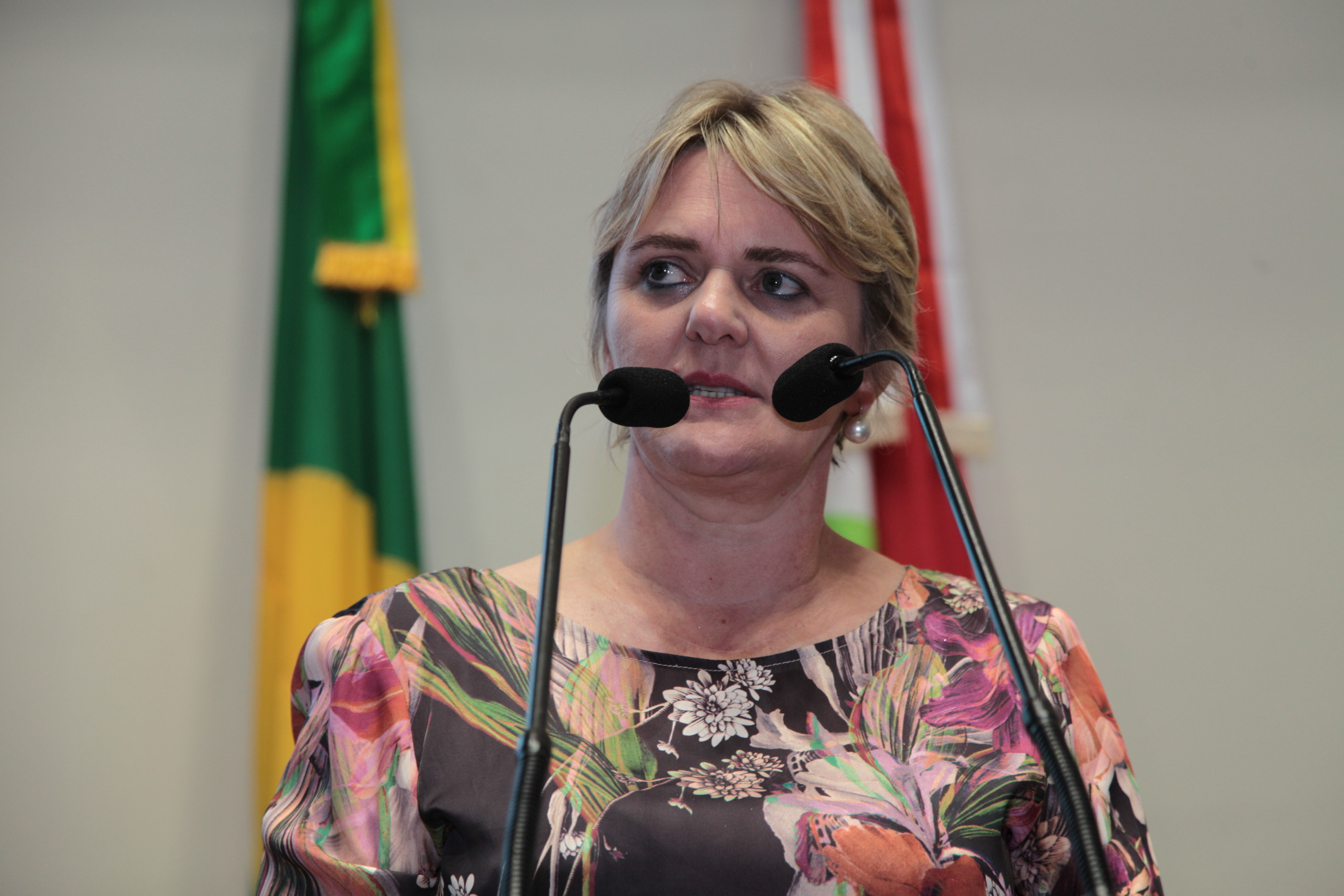 Sessão Plenária - Deputada Luciane Carminatti (PT)
