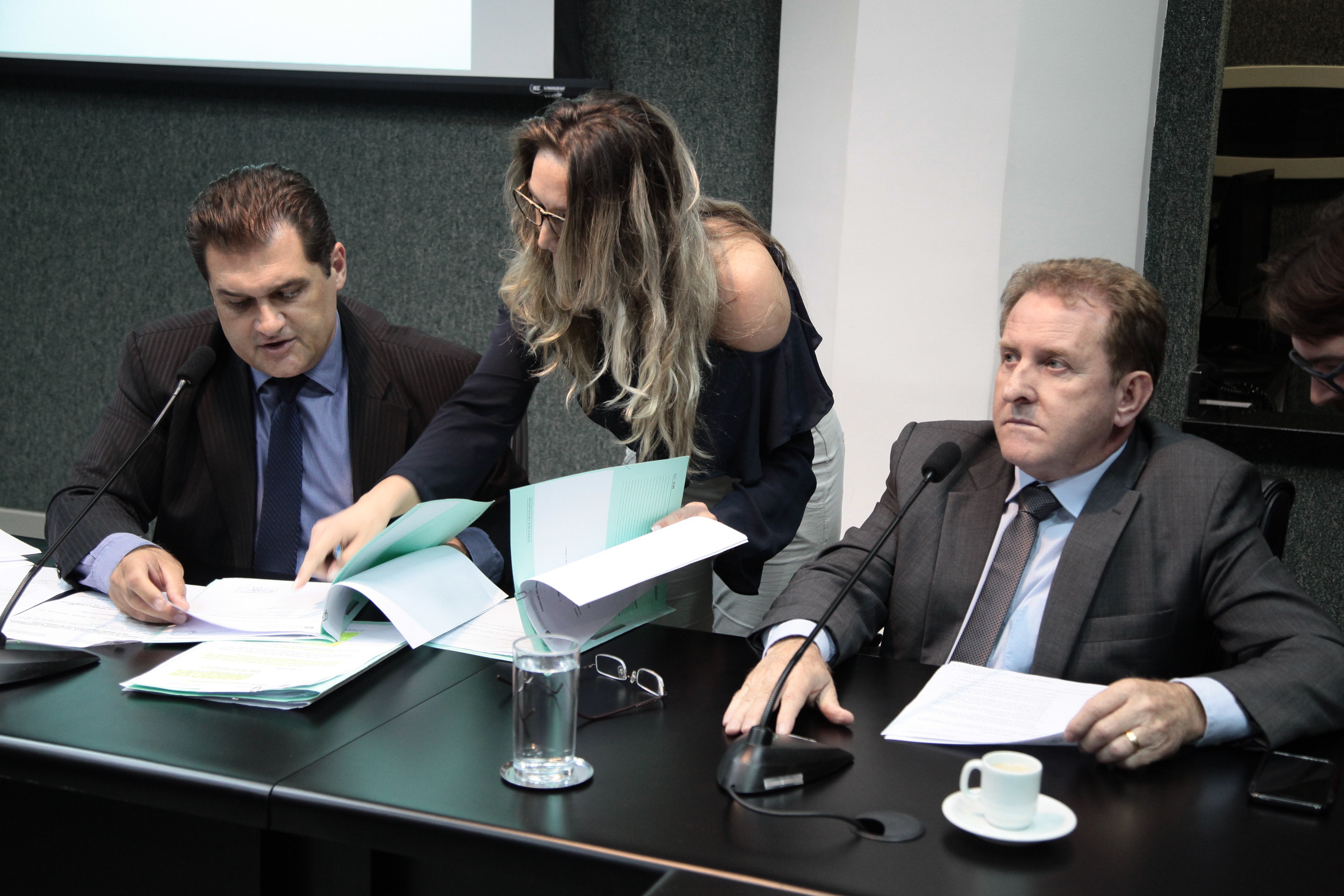Comissão de Economia, Ciência e Tecnologia.