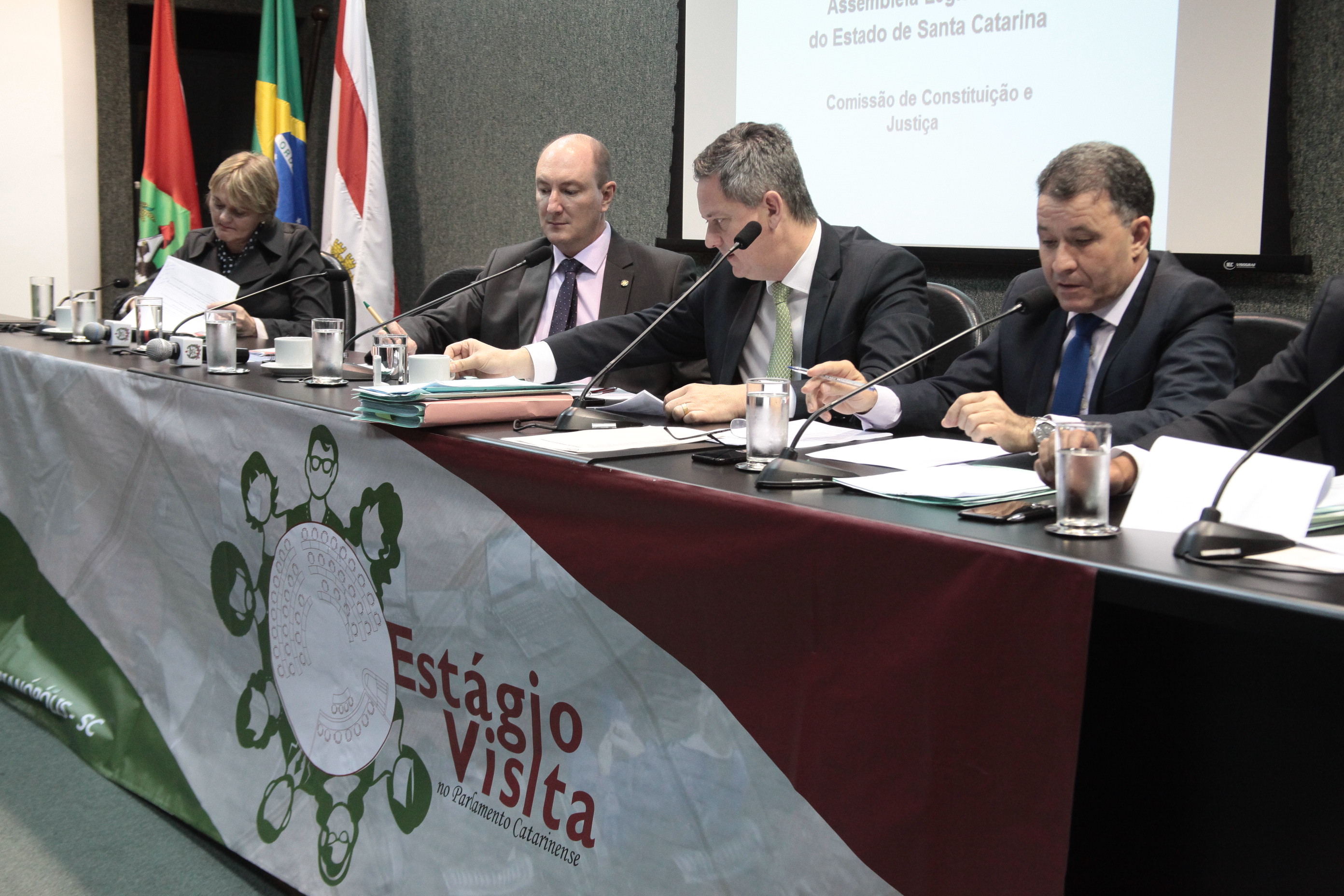 Comissão de Constituição e Justiça