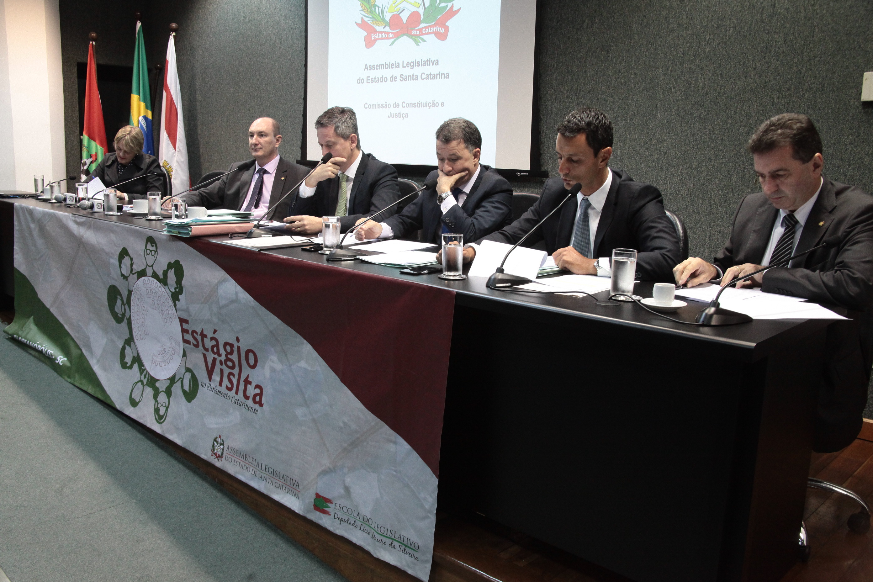 Comissão de Constituição e Justiça