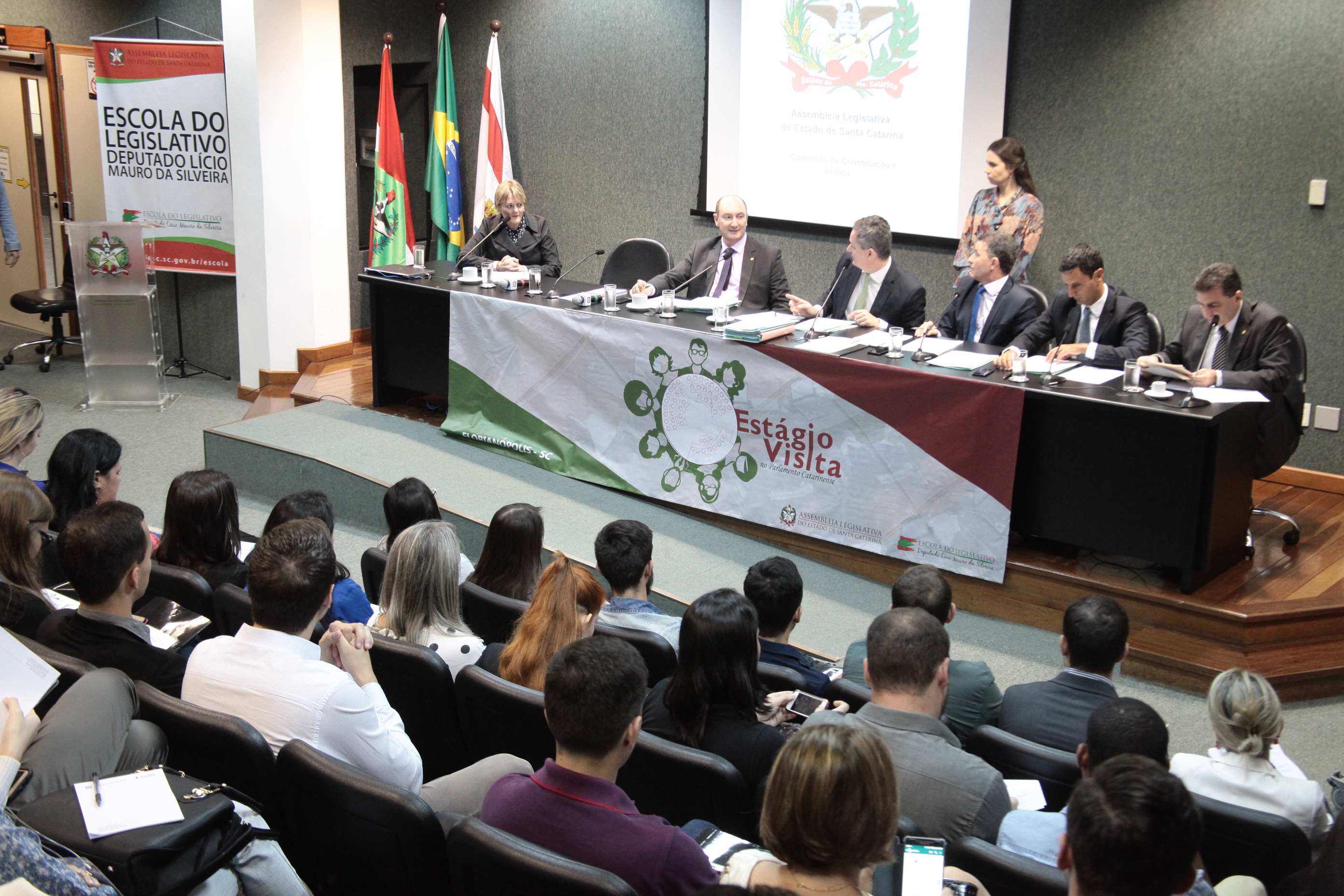 Comissão de Constituição e Justiça