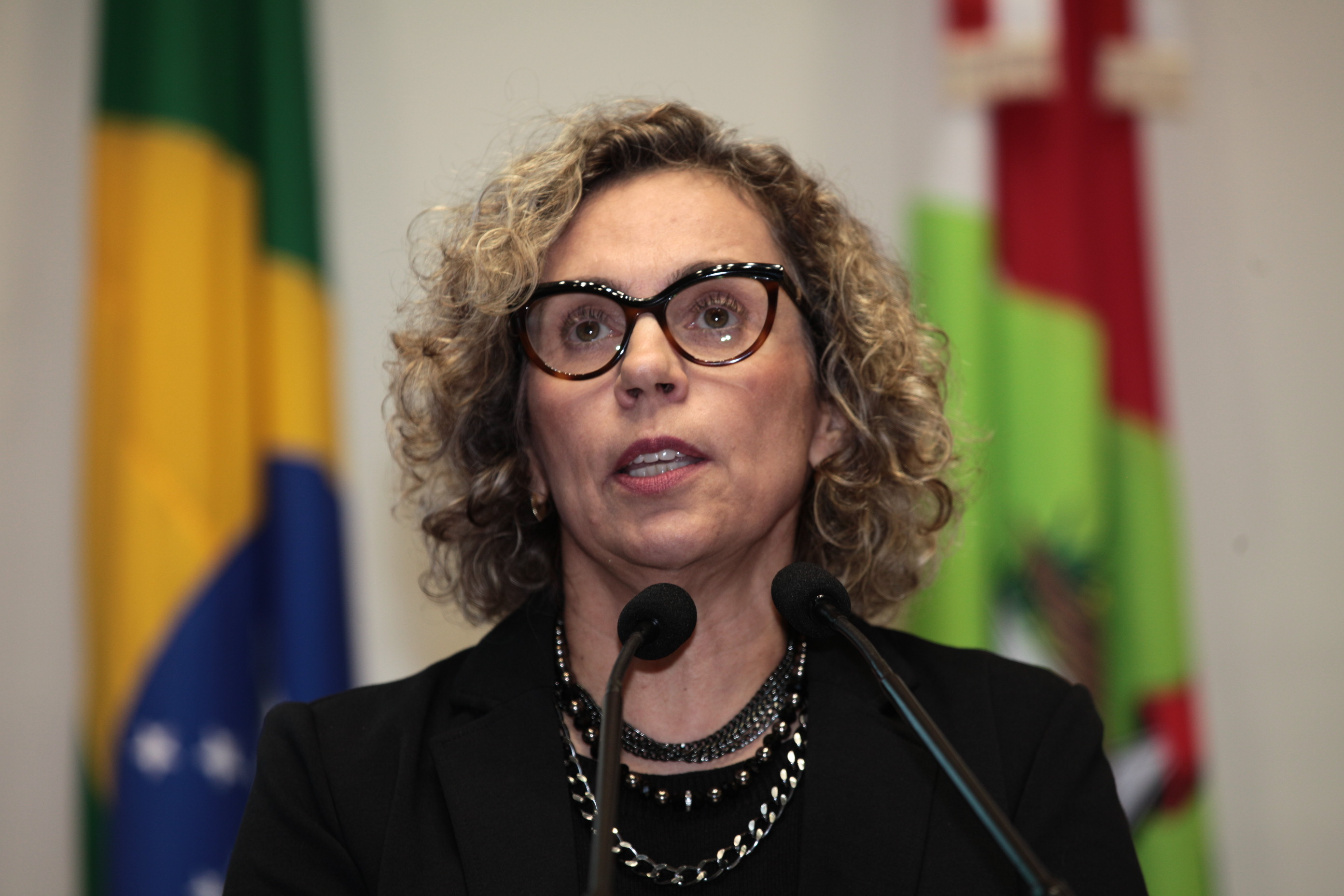 Sessão Plenária - Deputada Ana Paula Lima (PT)