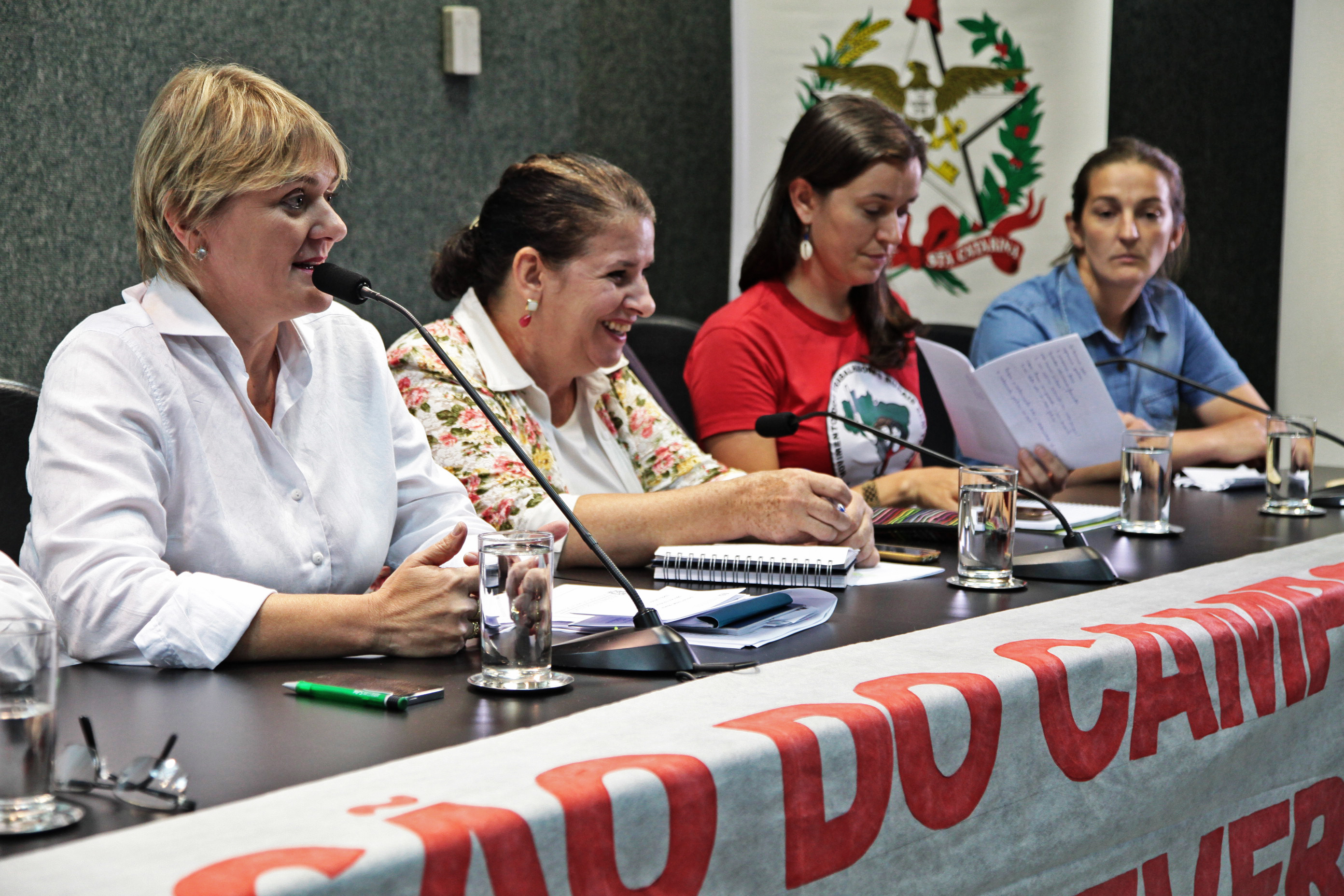Comissão de Educação Promove Audiência Pública para Discutir a Educação no Campo.