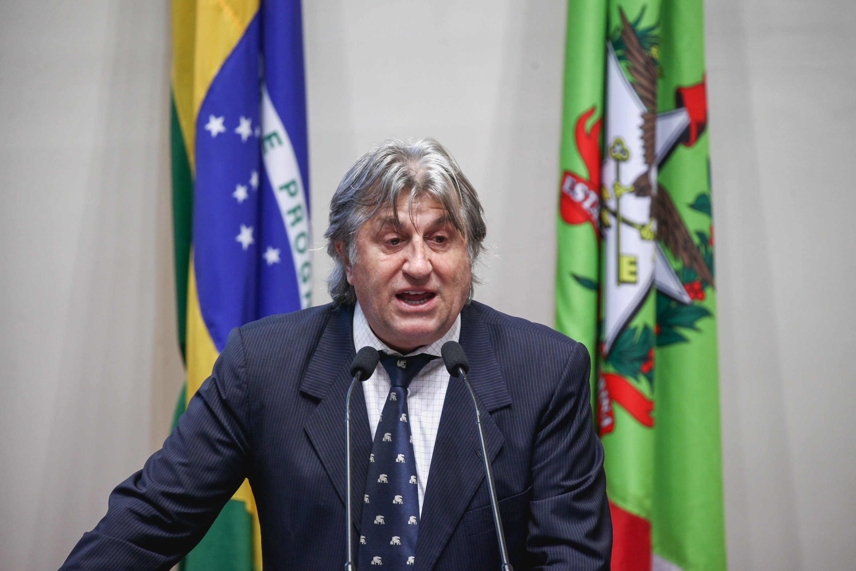 Deputado Leonel Pavan (PSDB). Sessão Ordinária.