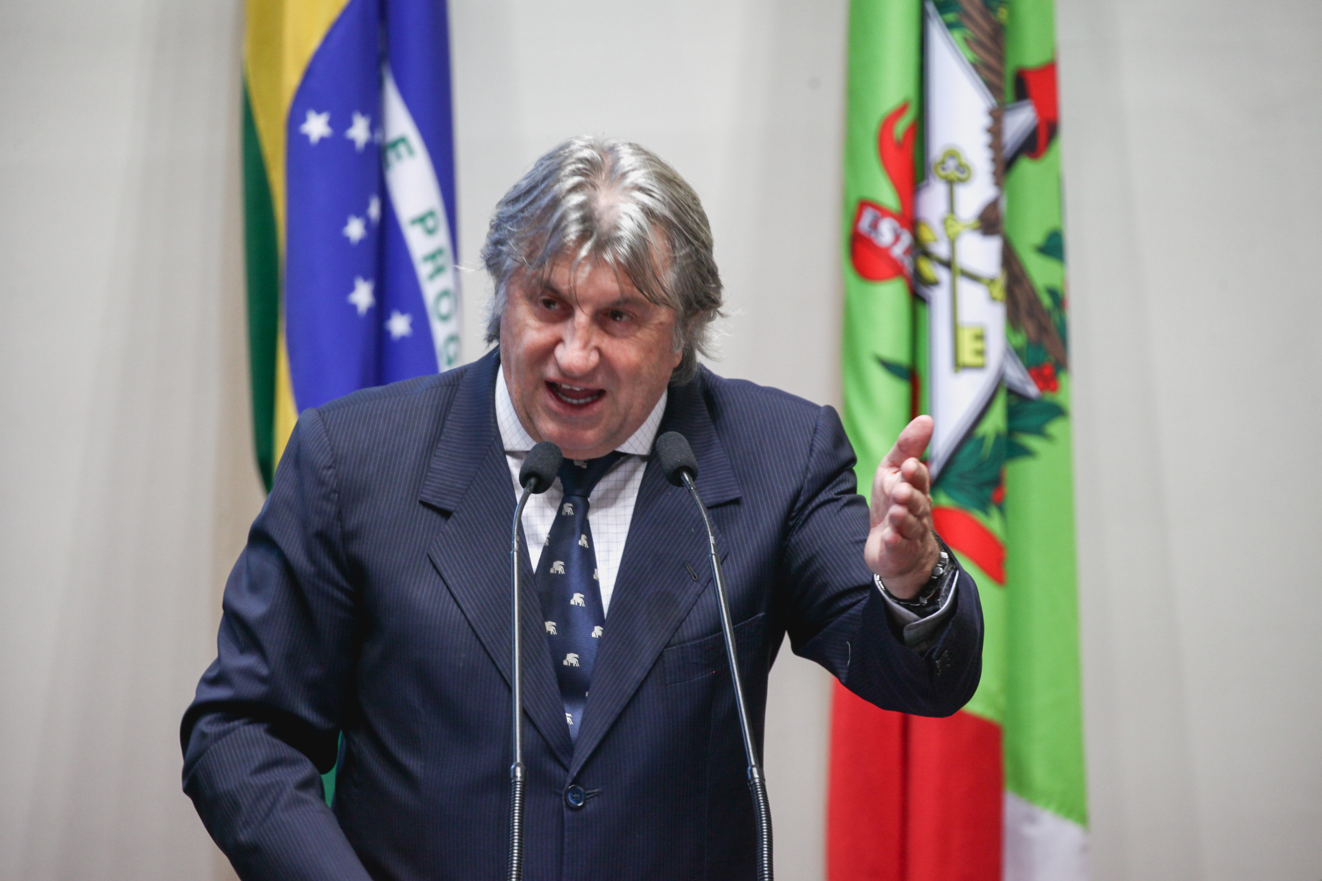 Deputado Leonel Pavan (PSDB). Sessão Ordinária.