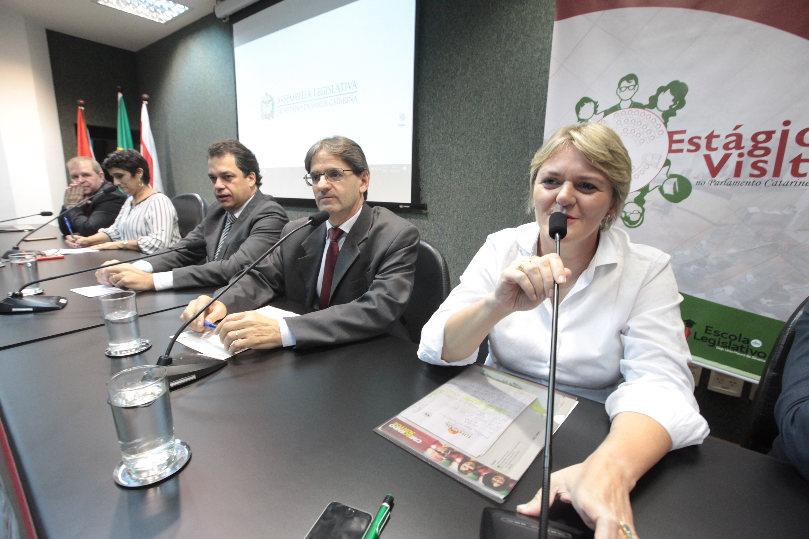 Mesa Redonda com Deputados e Palestra
