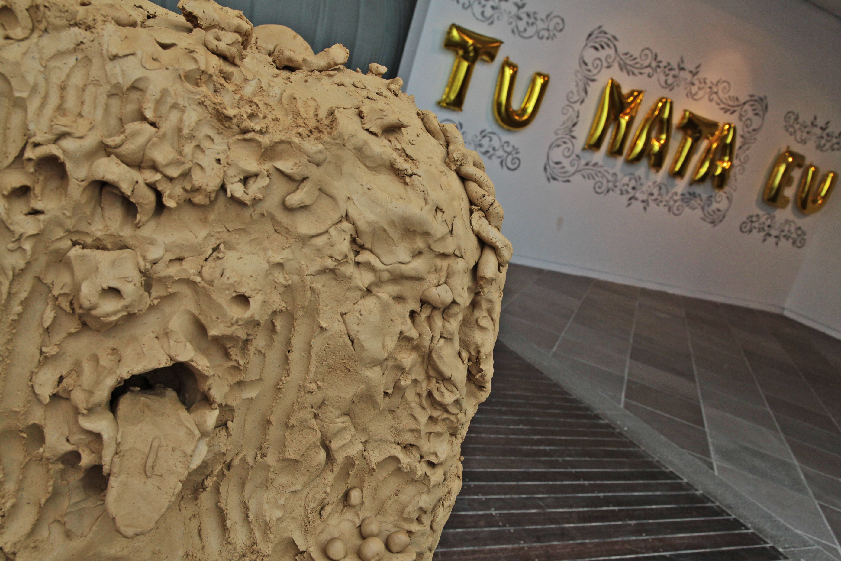 Museu de Arte de Santa Catarina Celebra 70 Anos