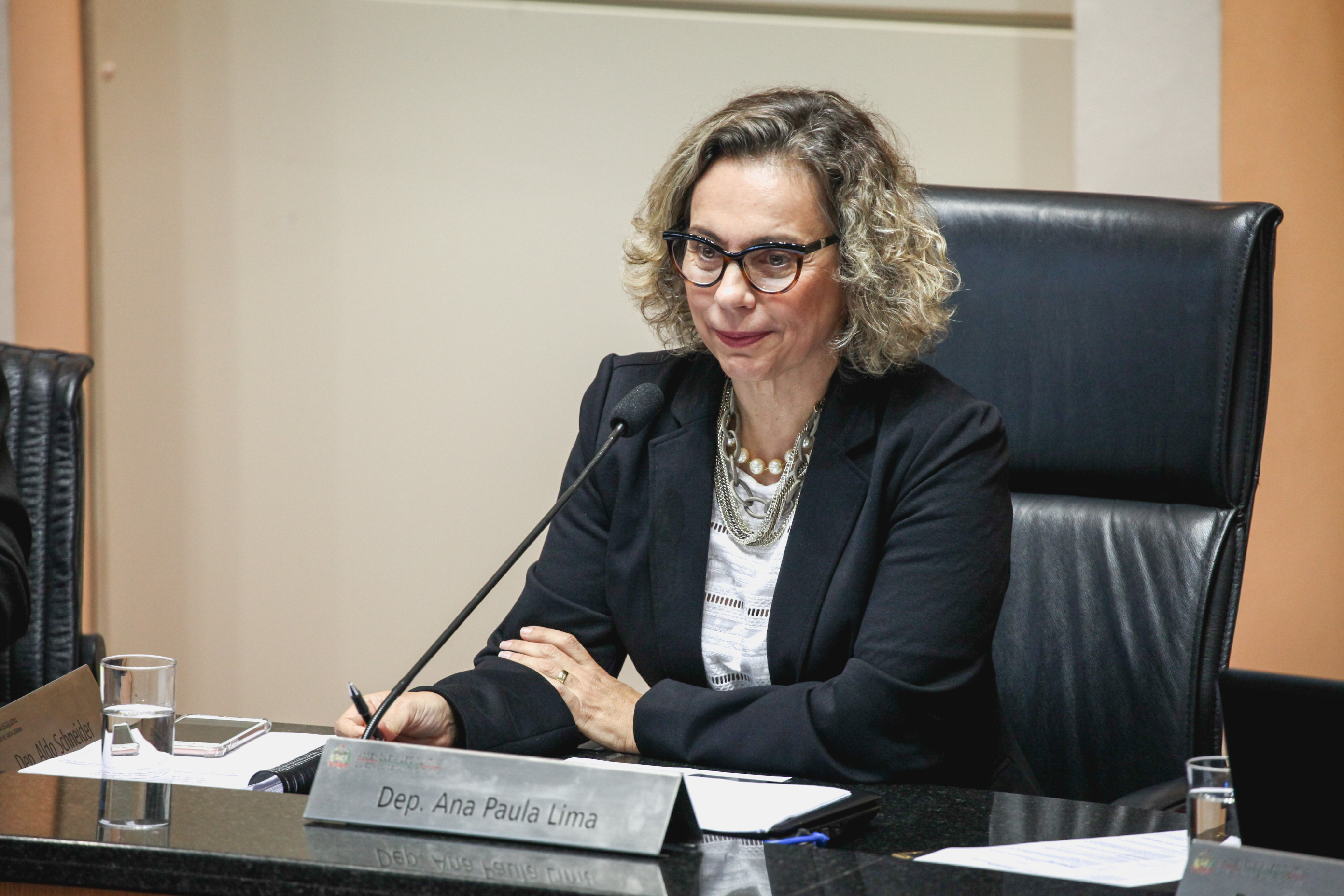 Deputada Ana Paula Lima (PT). Sessão Ordinária.
