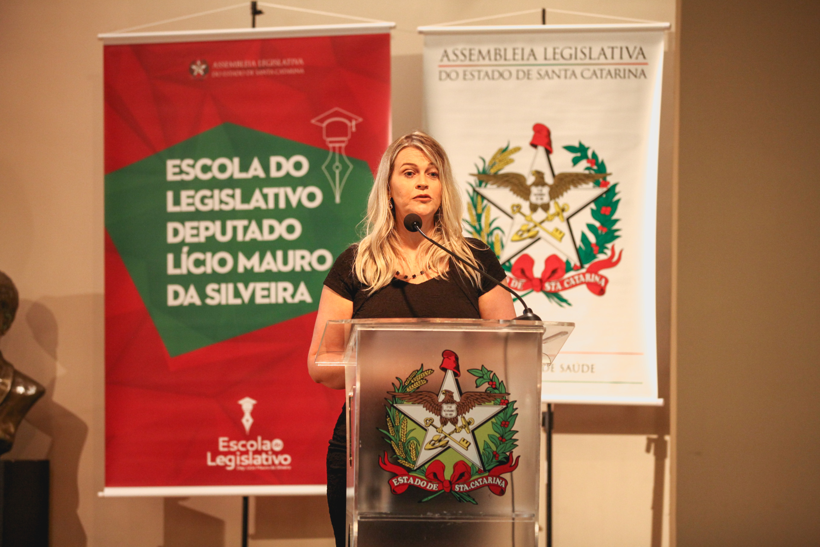 Oficina Comissão de Saúde.