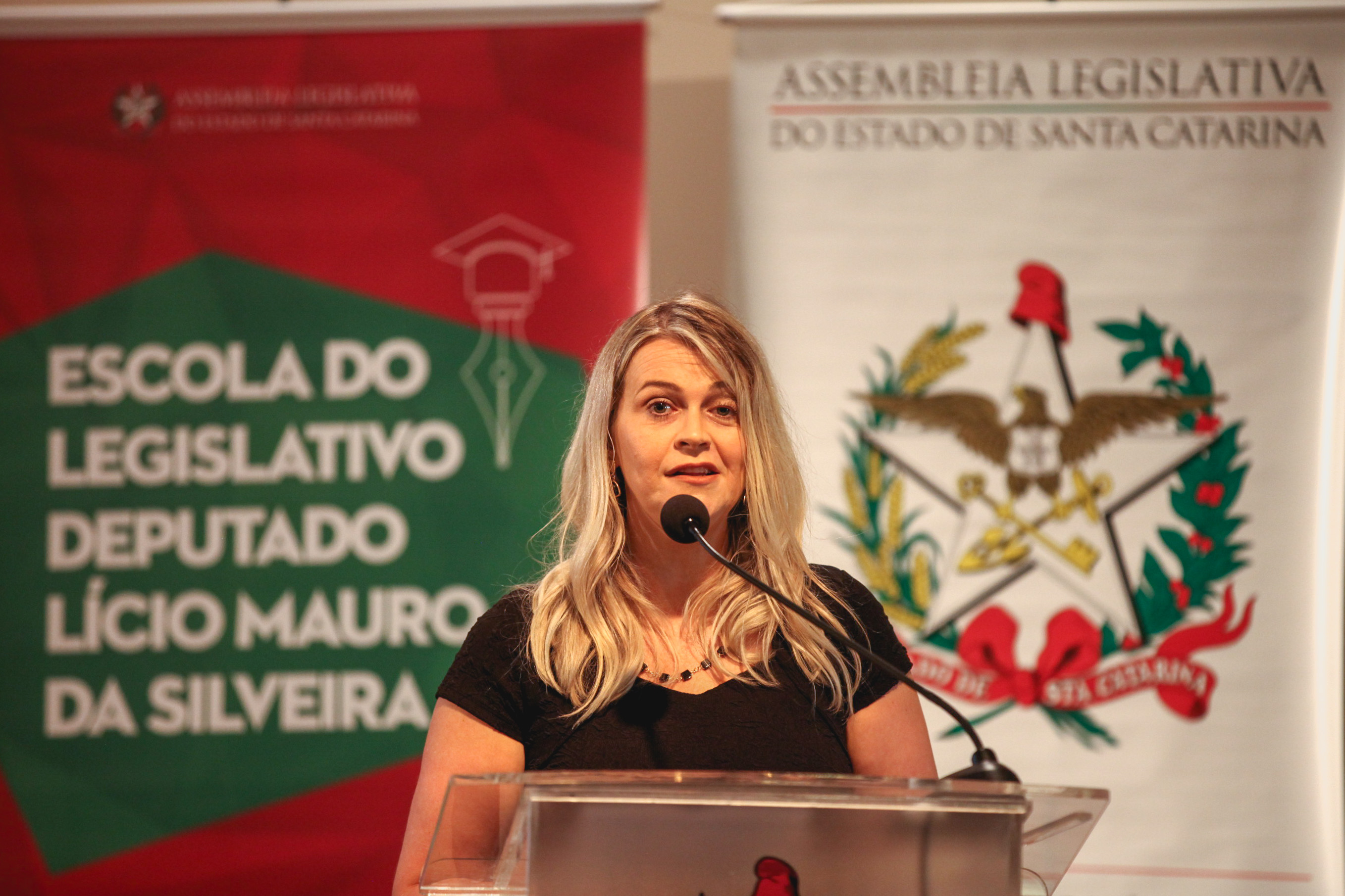 Oficina Comissão de Saúde.