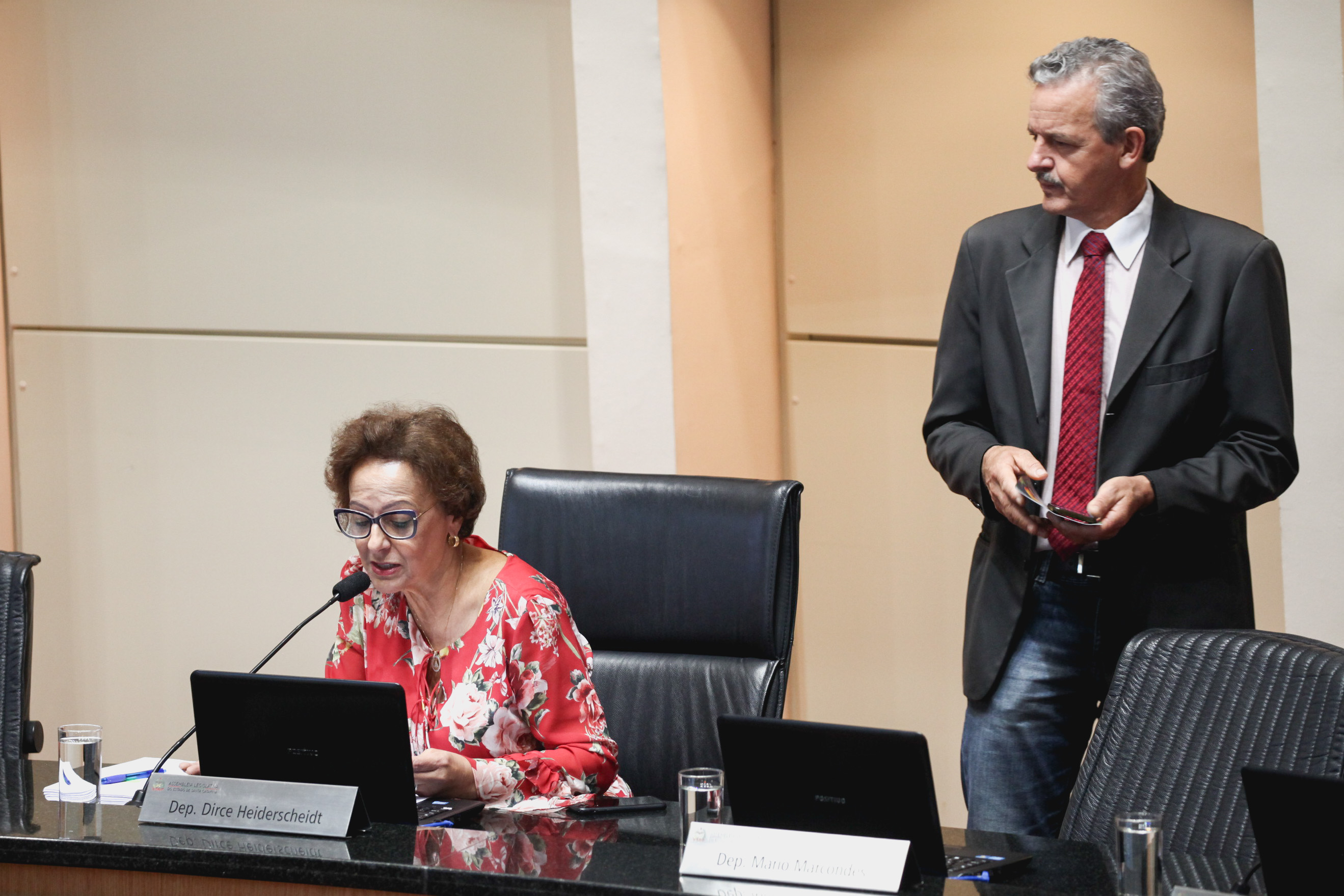 Sessão Ordinária.