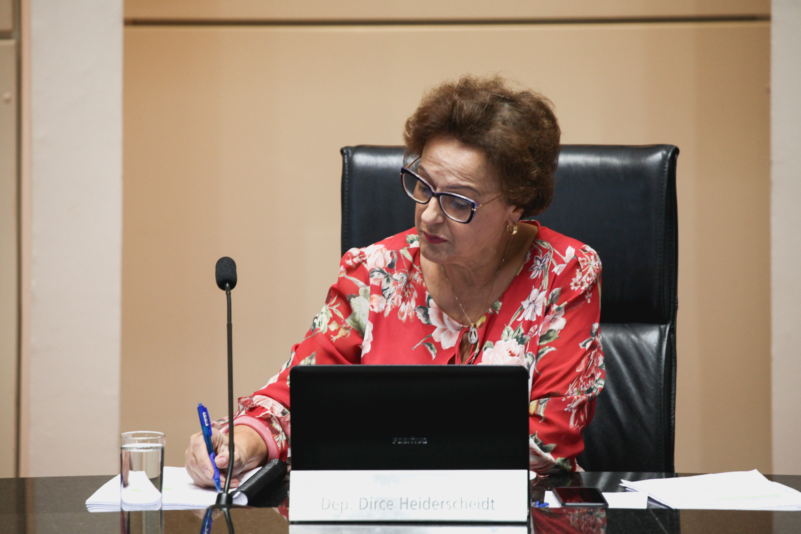 Deputada Dirce Heiderscheidt (MDB). Sessão Ordinária.