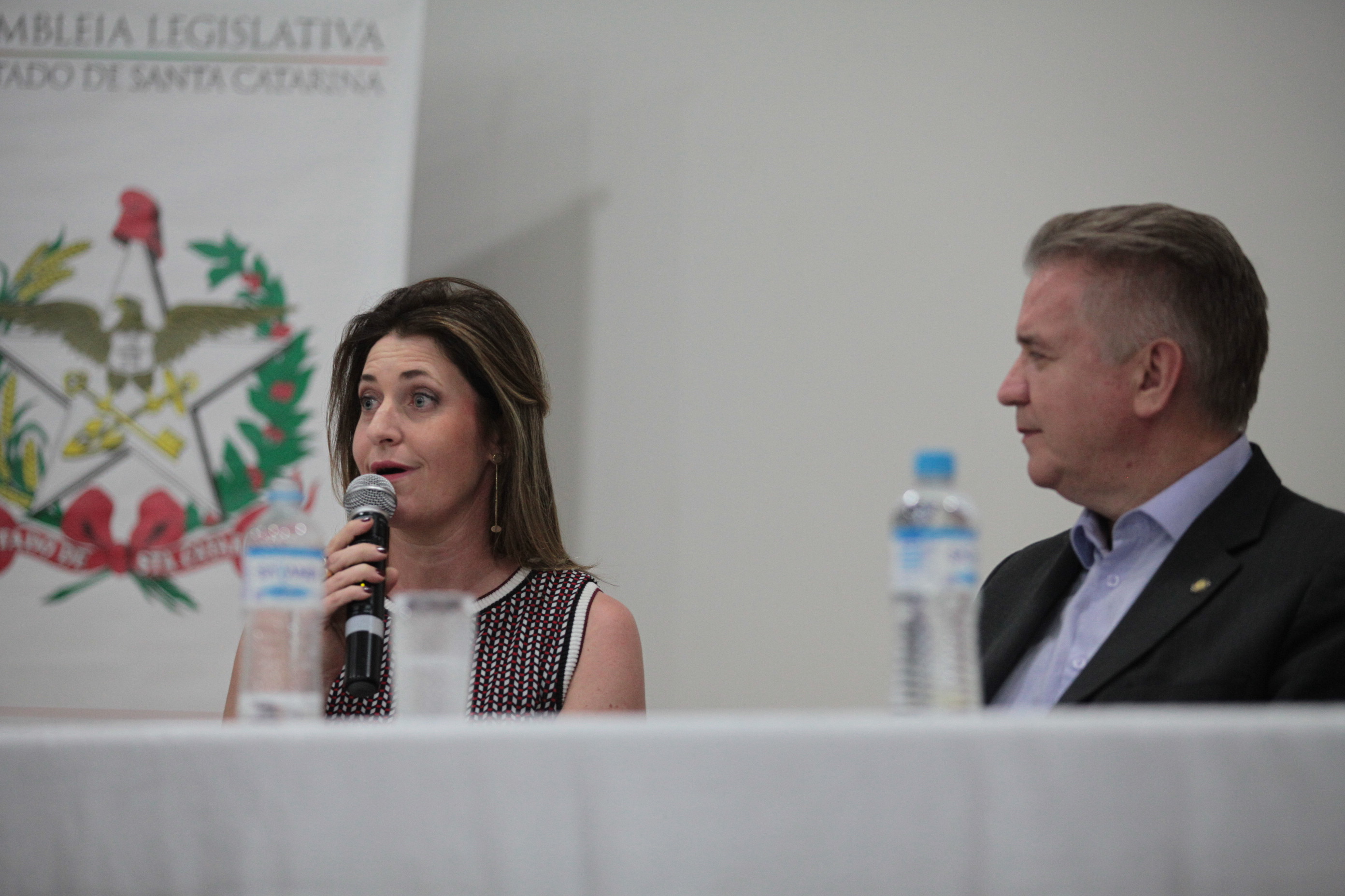 Margarete de March - Audiência Pública - A Importância Estratégica dos Bancos para Santa Catarina
