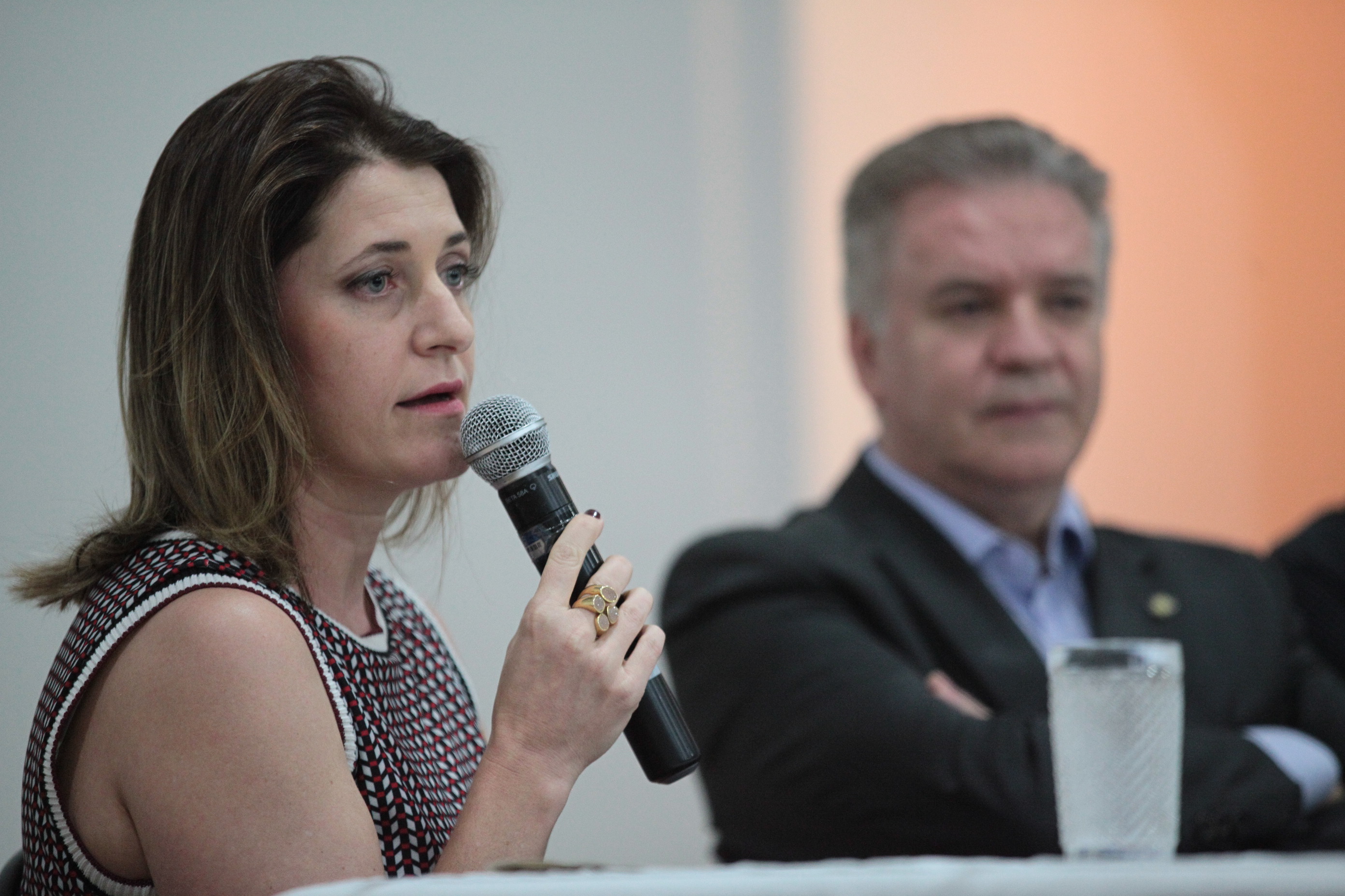 Margarete de March - Audiência Pública - A Importância Estratégica dos Bancos para Santa Catarina