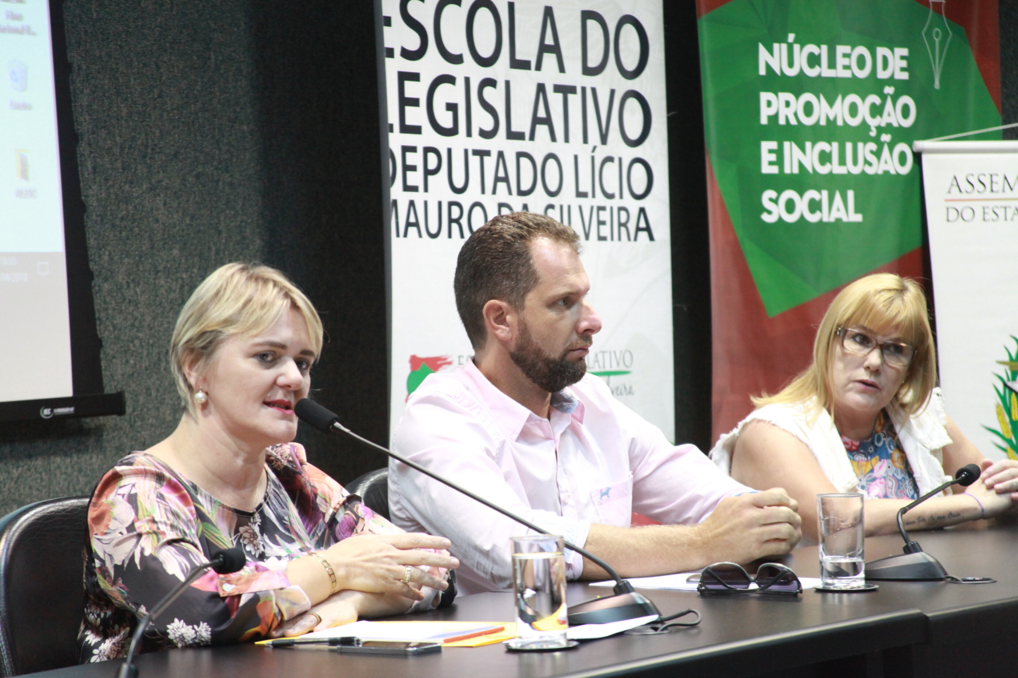 Deputada Luciane Carminatti propôs o seminário