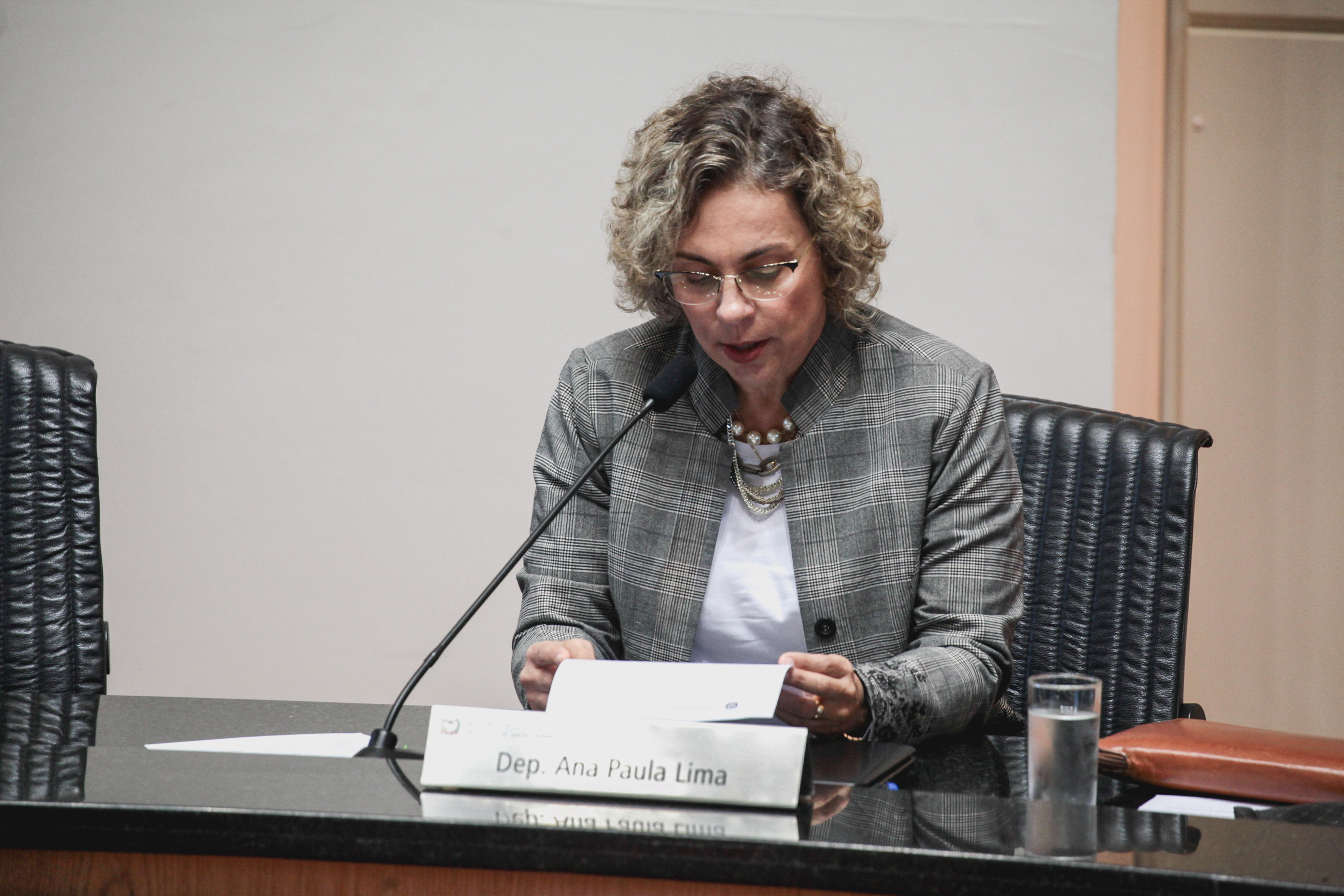 Deputada Ana Paula Lima (PT). Sessão Ordinária.