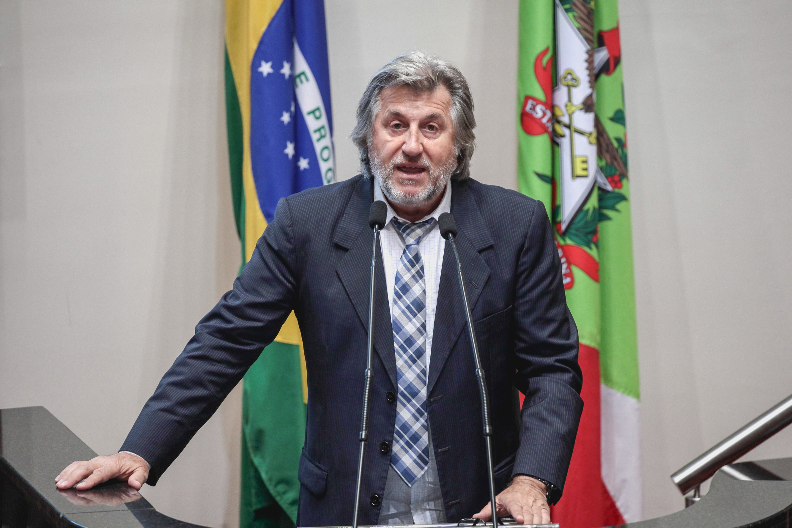 Deputado Leonel Pavan (PSDB). Sessão Ordinária.