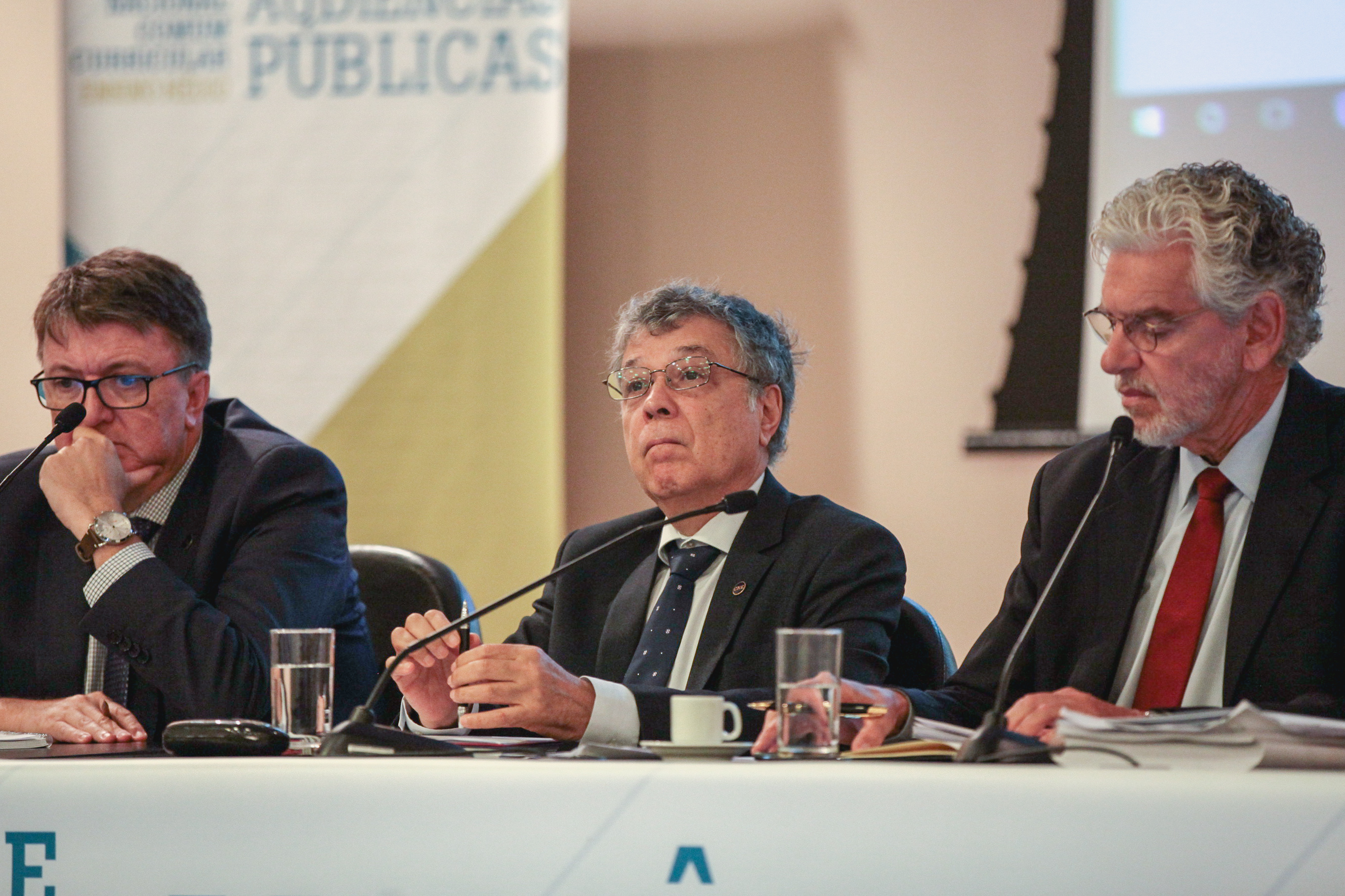 Audiência Pública: Base Nacional Comum Curricular.