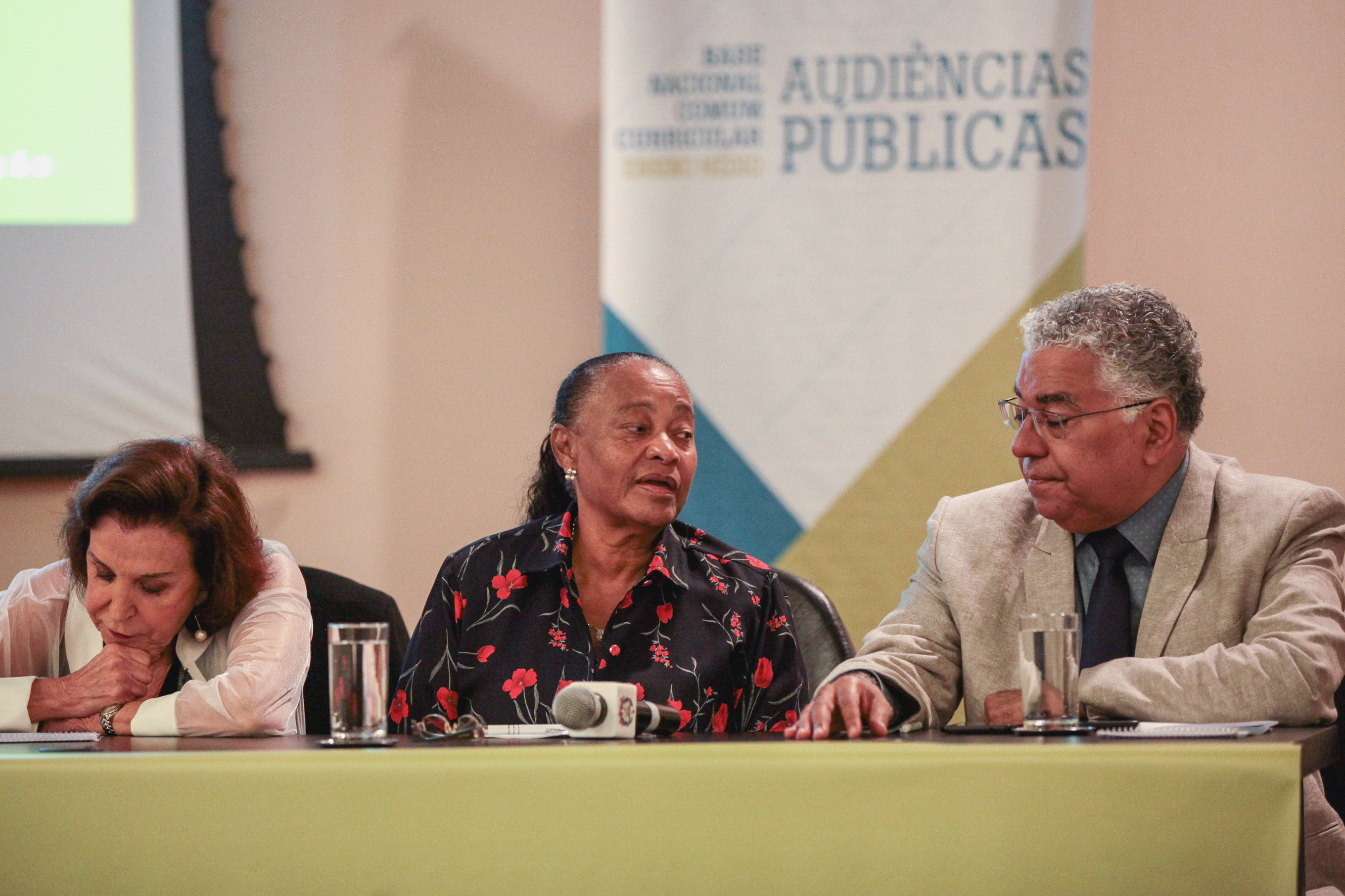 Audiência Pública: Base Nacional Comum Curricular.