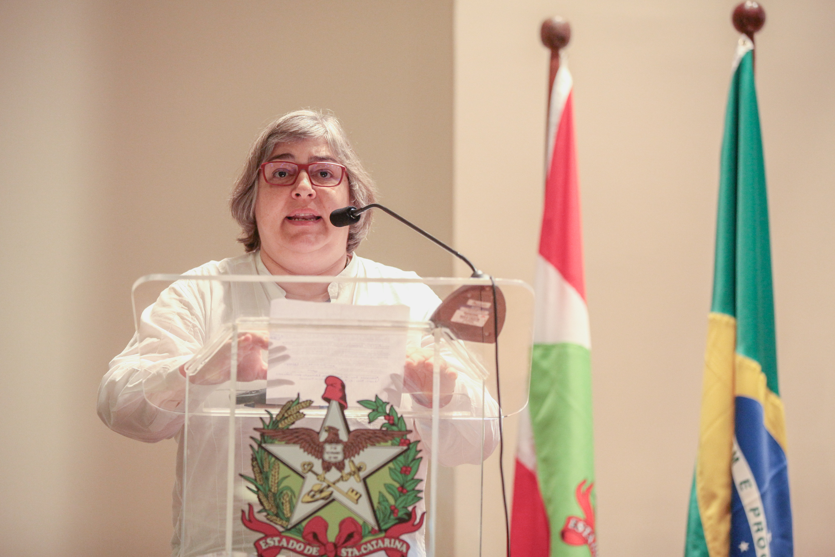 Audiência Pública: Base Nacional Comum Curricular.