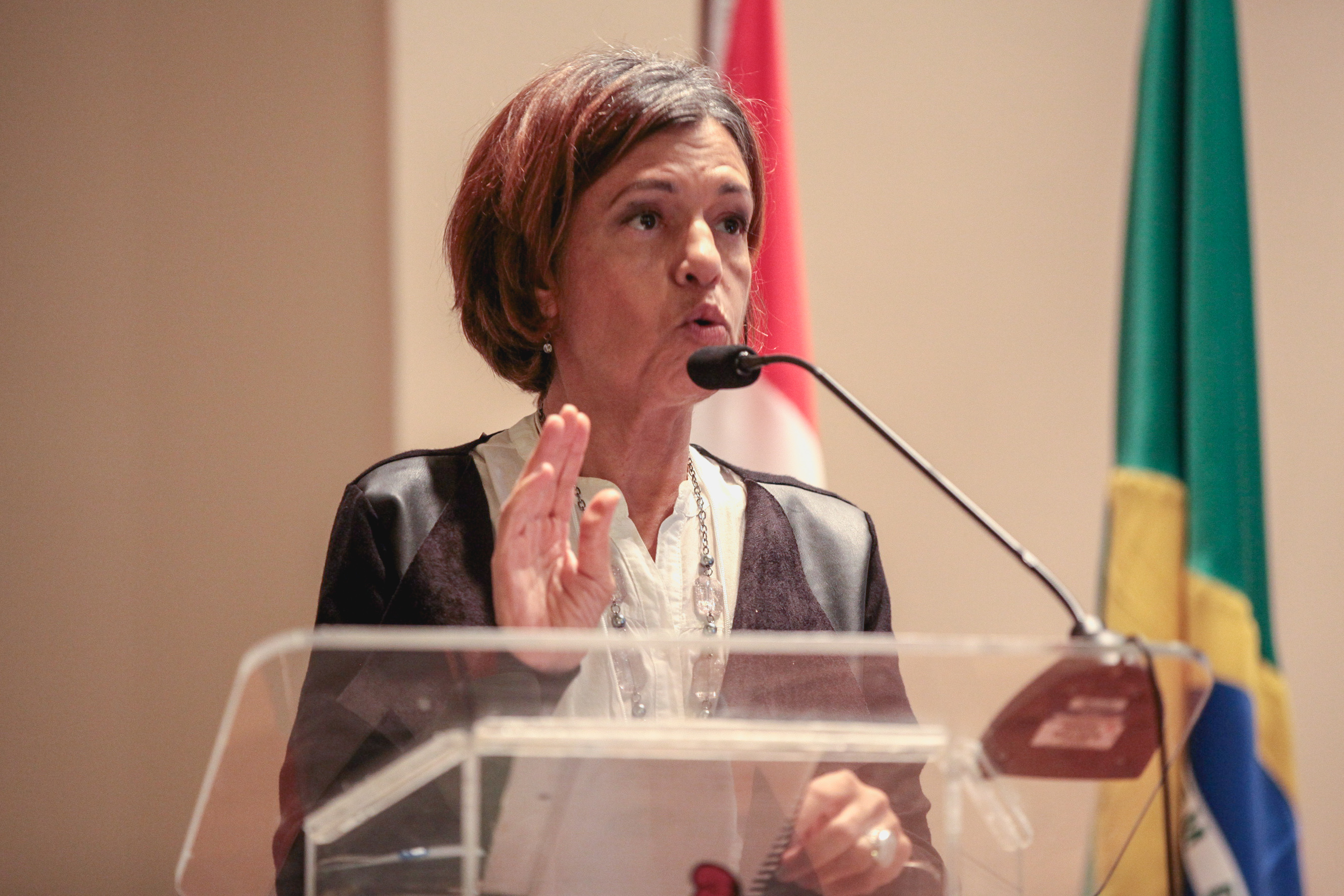 Audiência Pública: Base Nacional Comum Curricular.