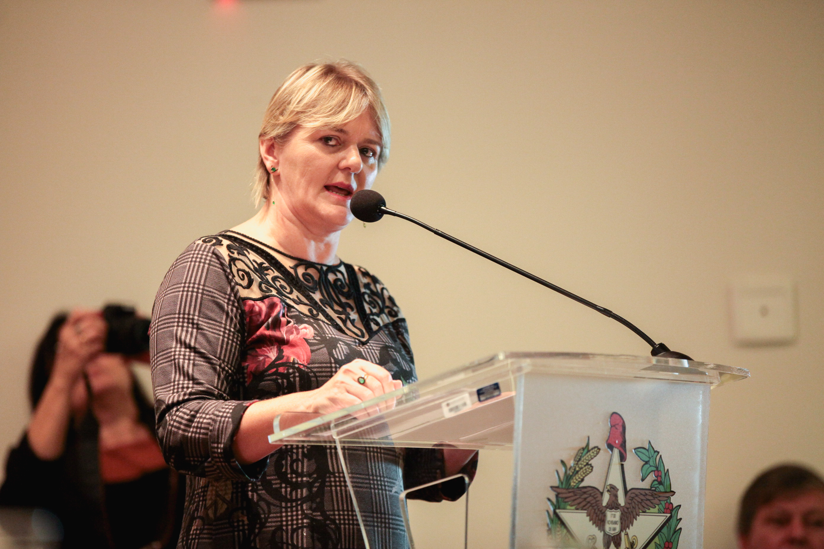 Deputada Luciane Carminatti (PT). Audiência Pública: Base Nacional Comum Curricular.