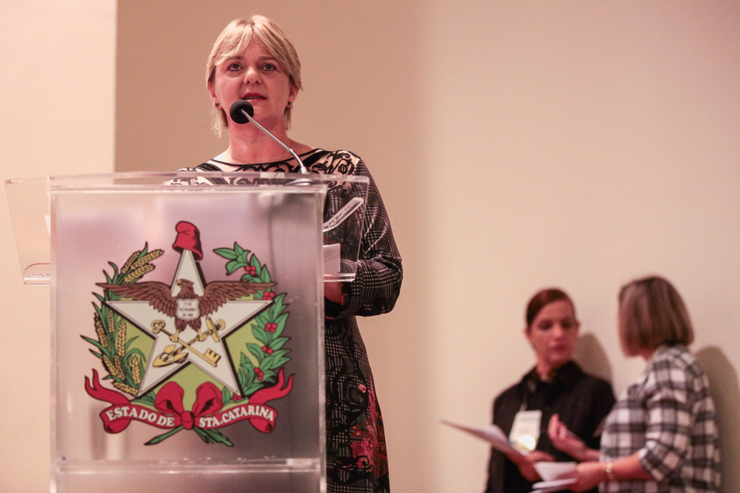 Deputada Luciane Carminatti (PT). Audiência Pública: Base Nacional Comum Curricular.