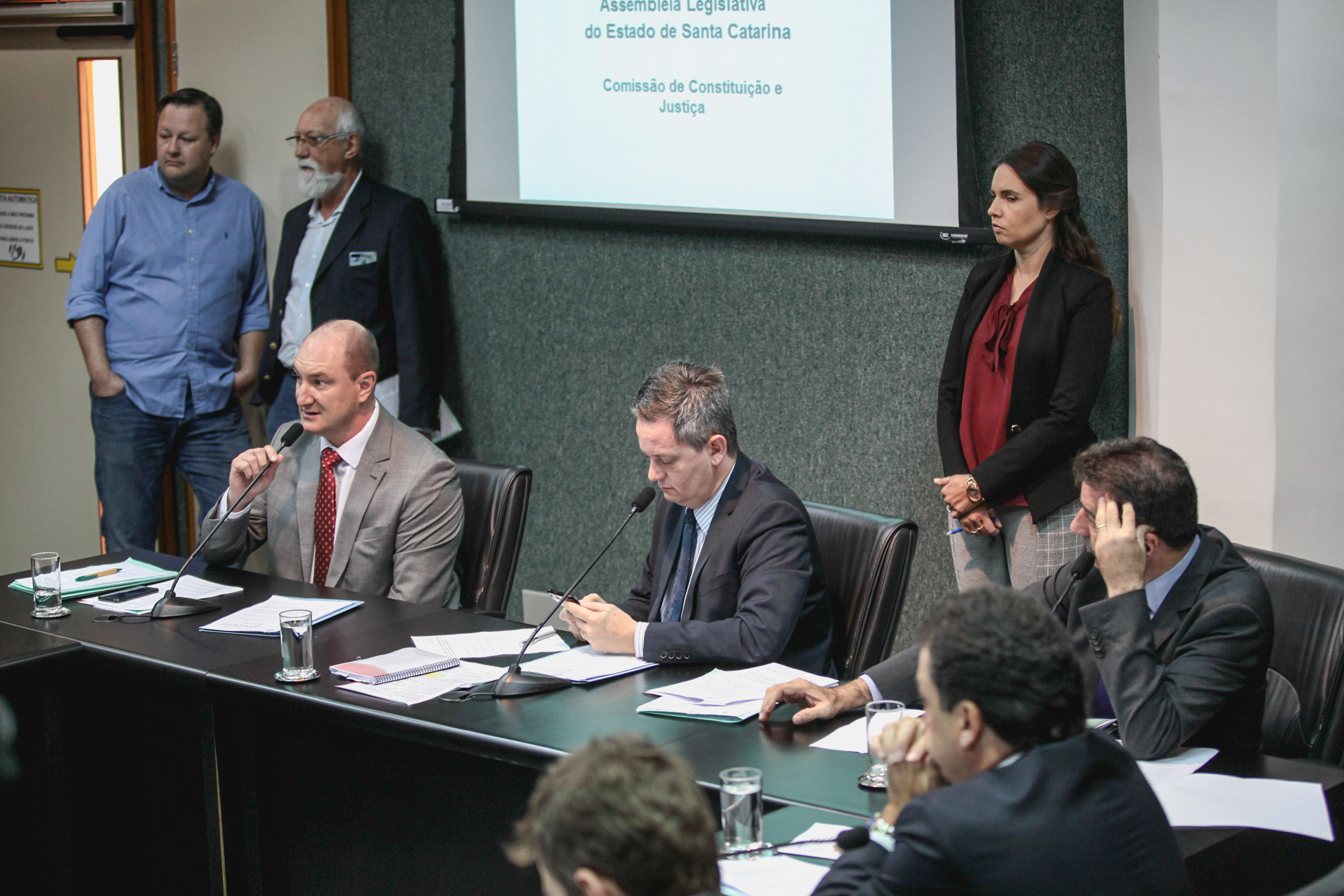 Comissão de Constituição e Justiça.