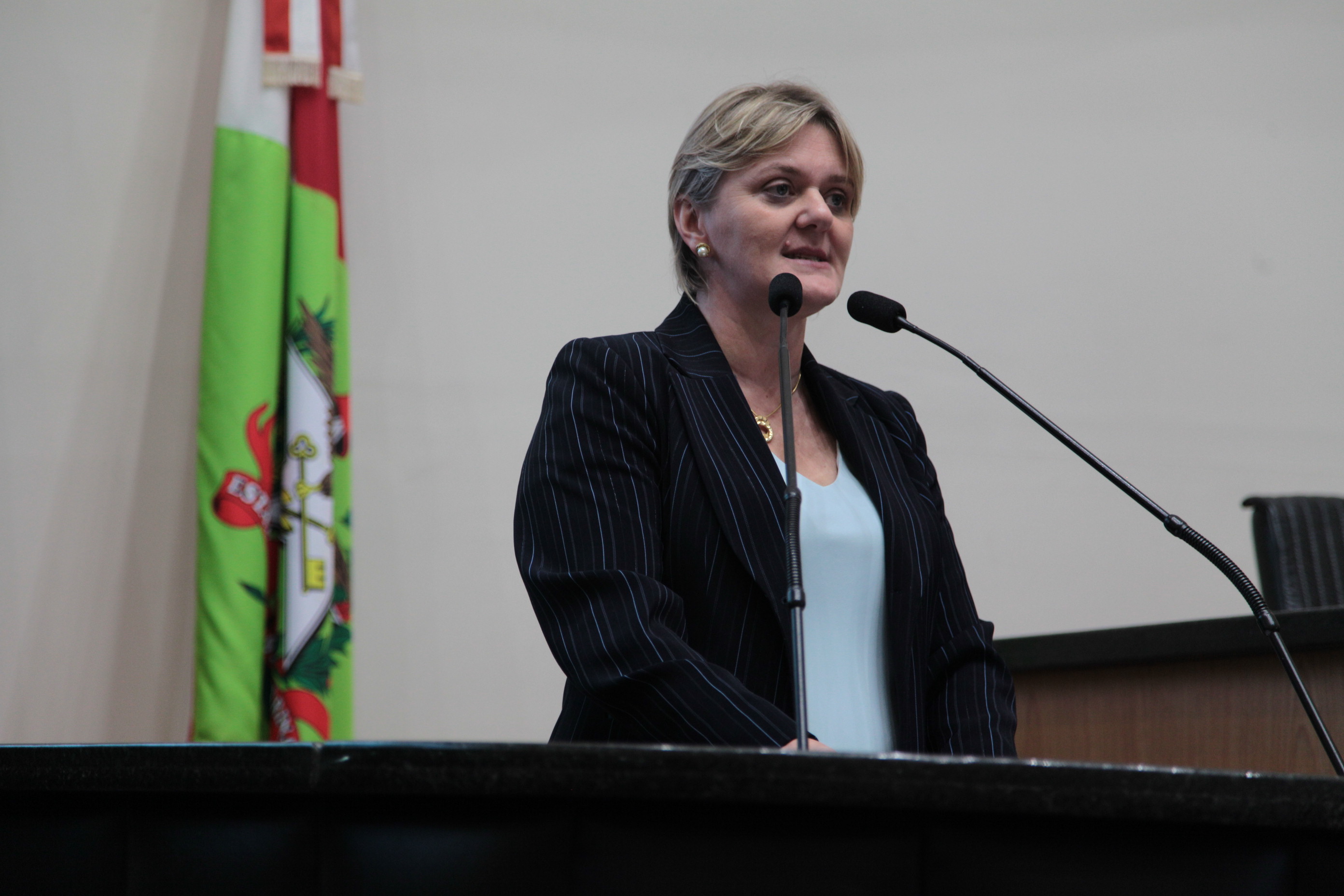 Sessão Plenária - Deputada Luciane Carminatti (PT)