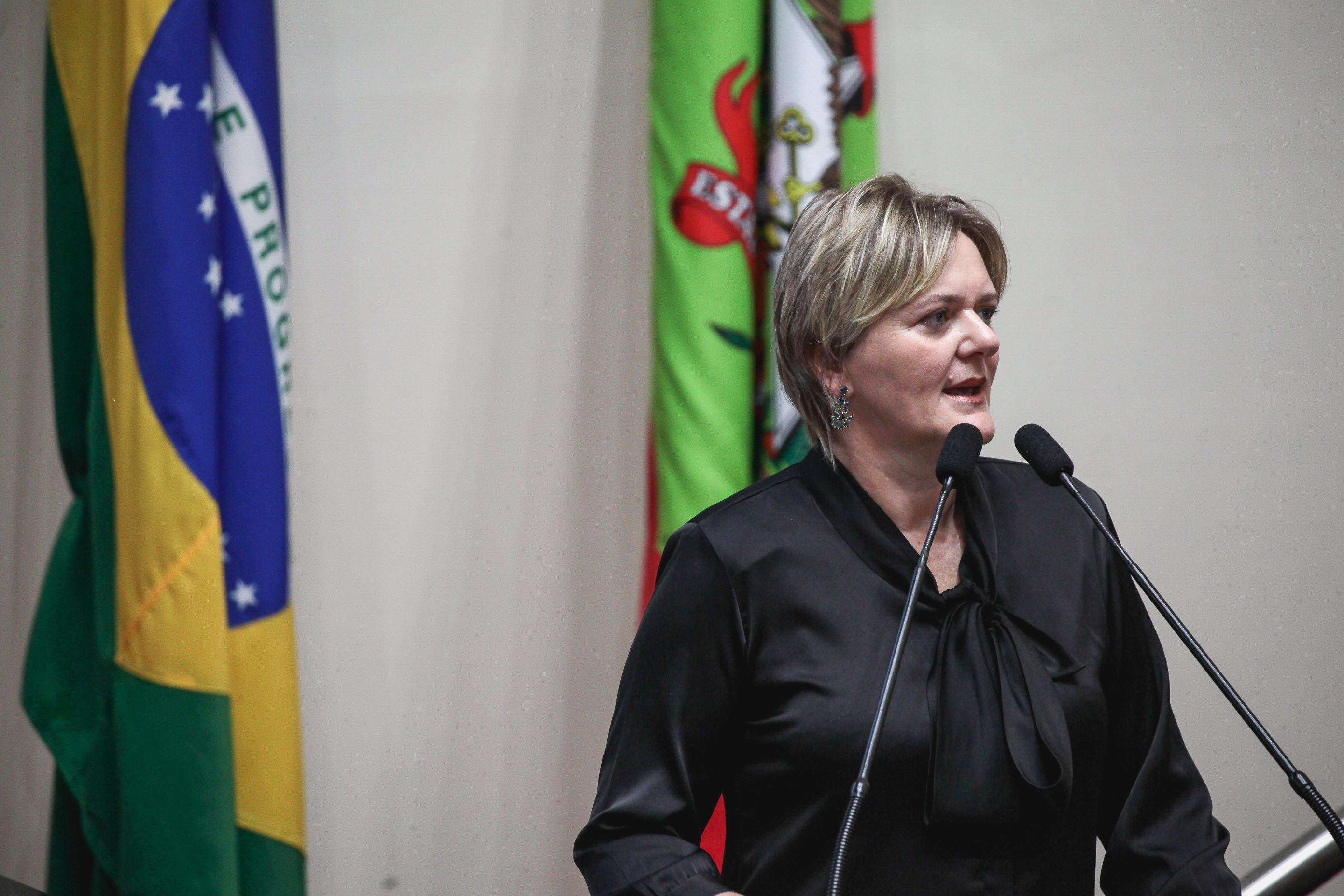 Deputada Luciane Carminatti (PT). Sessão Ordinária.