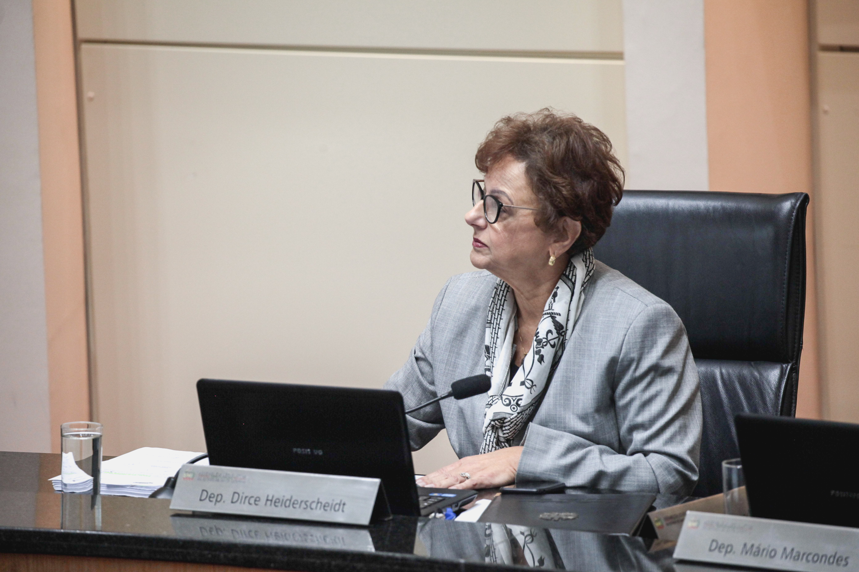 Deputada Dirce Heiderscheidt (MDB). Sessão Ordinária.