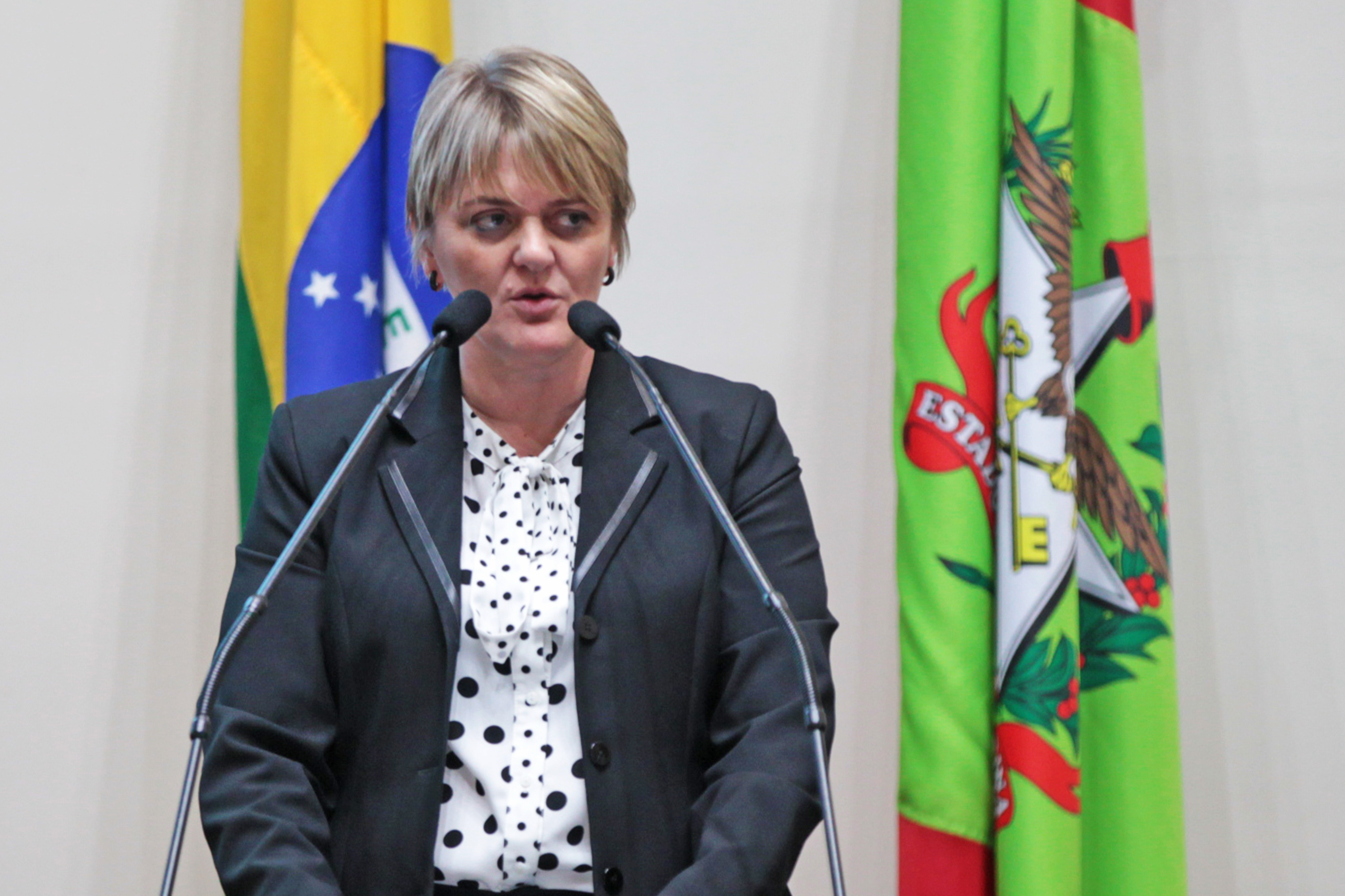 Deputada Luciane Carminatti (PT). Sessão Ordinária.