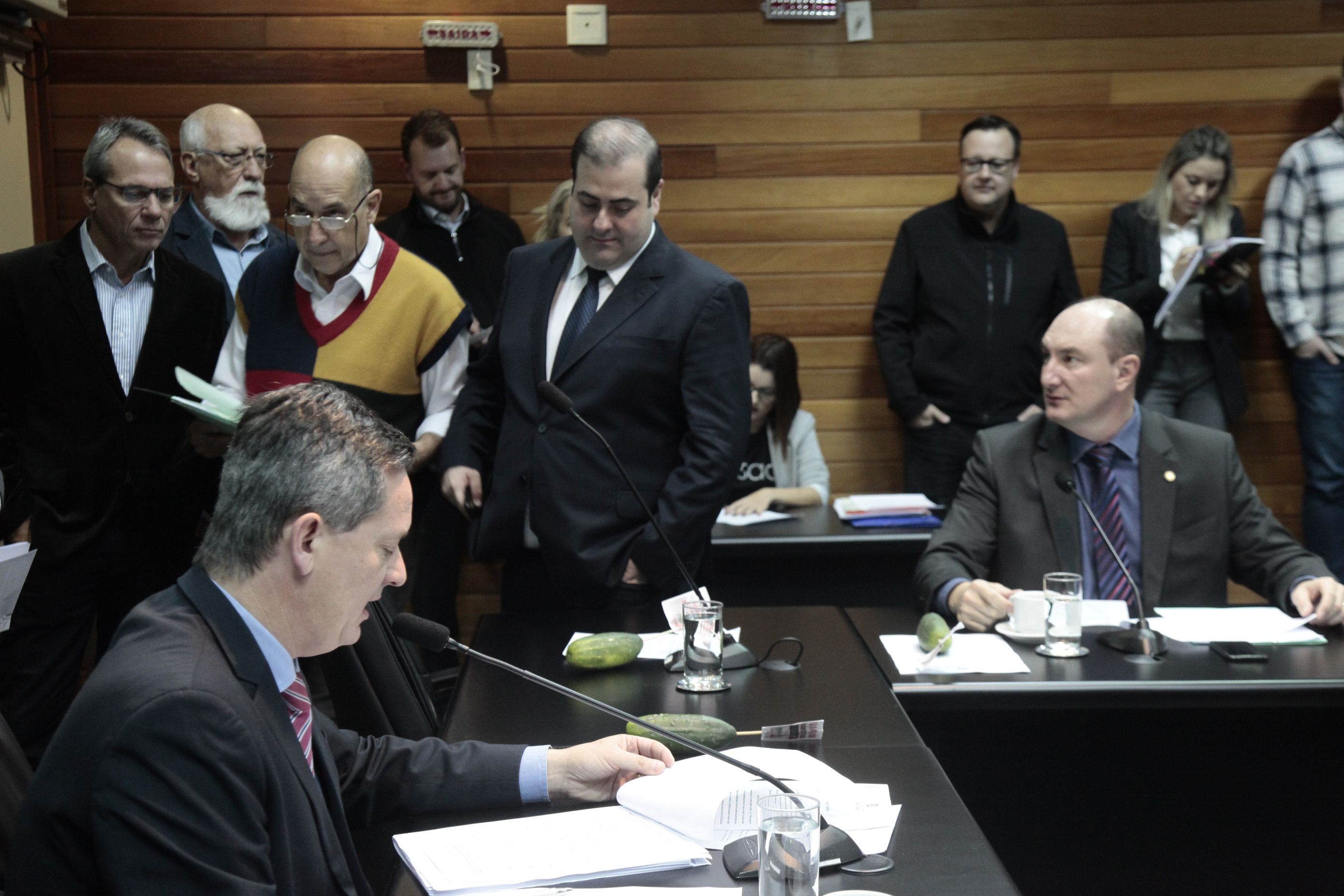 Comissão de Constituição e Justiça