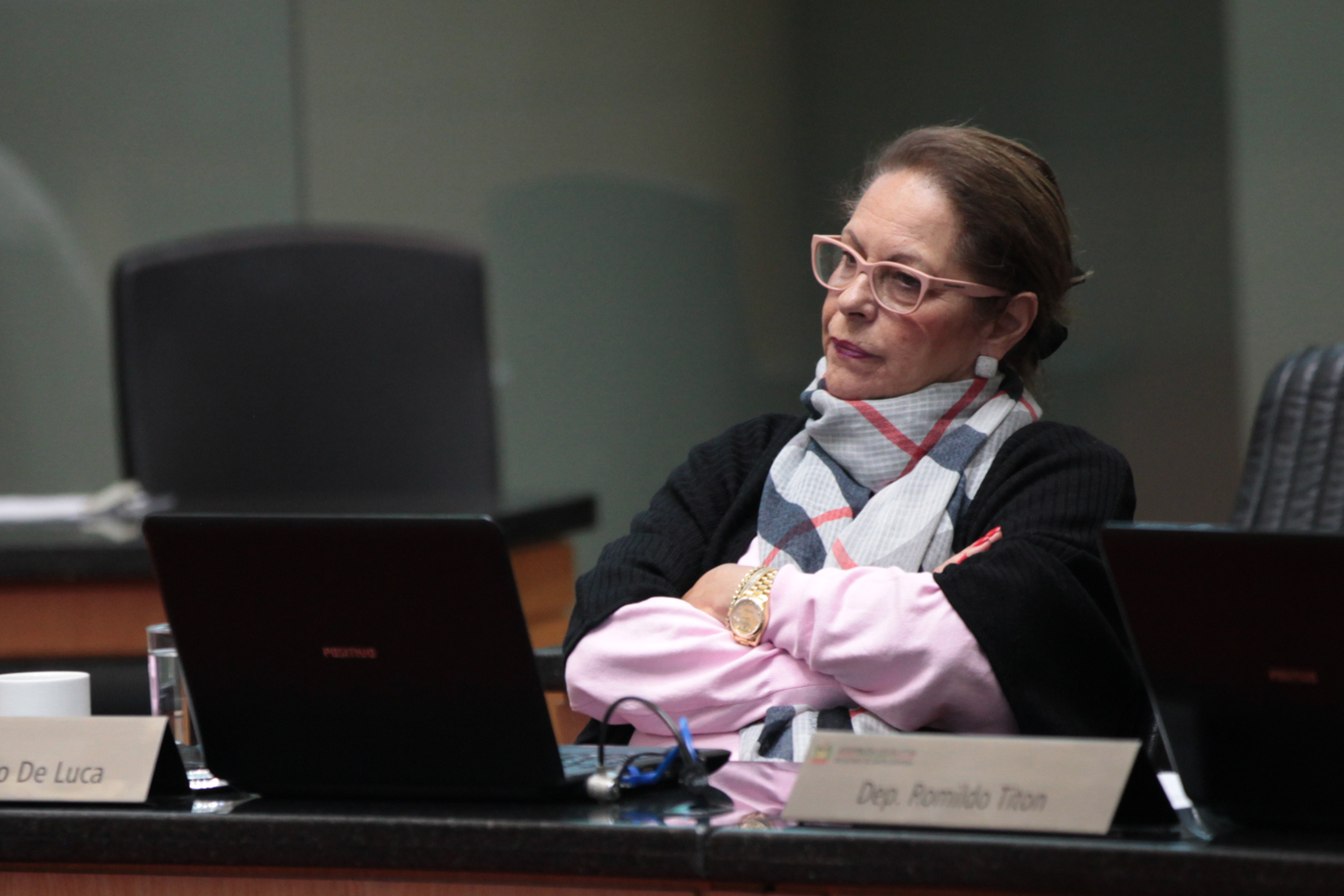 Deputada Ada Faraco De Luca (MDB). Sessão Ordinária