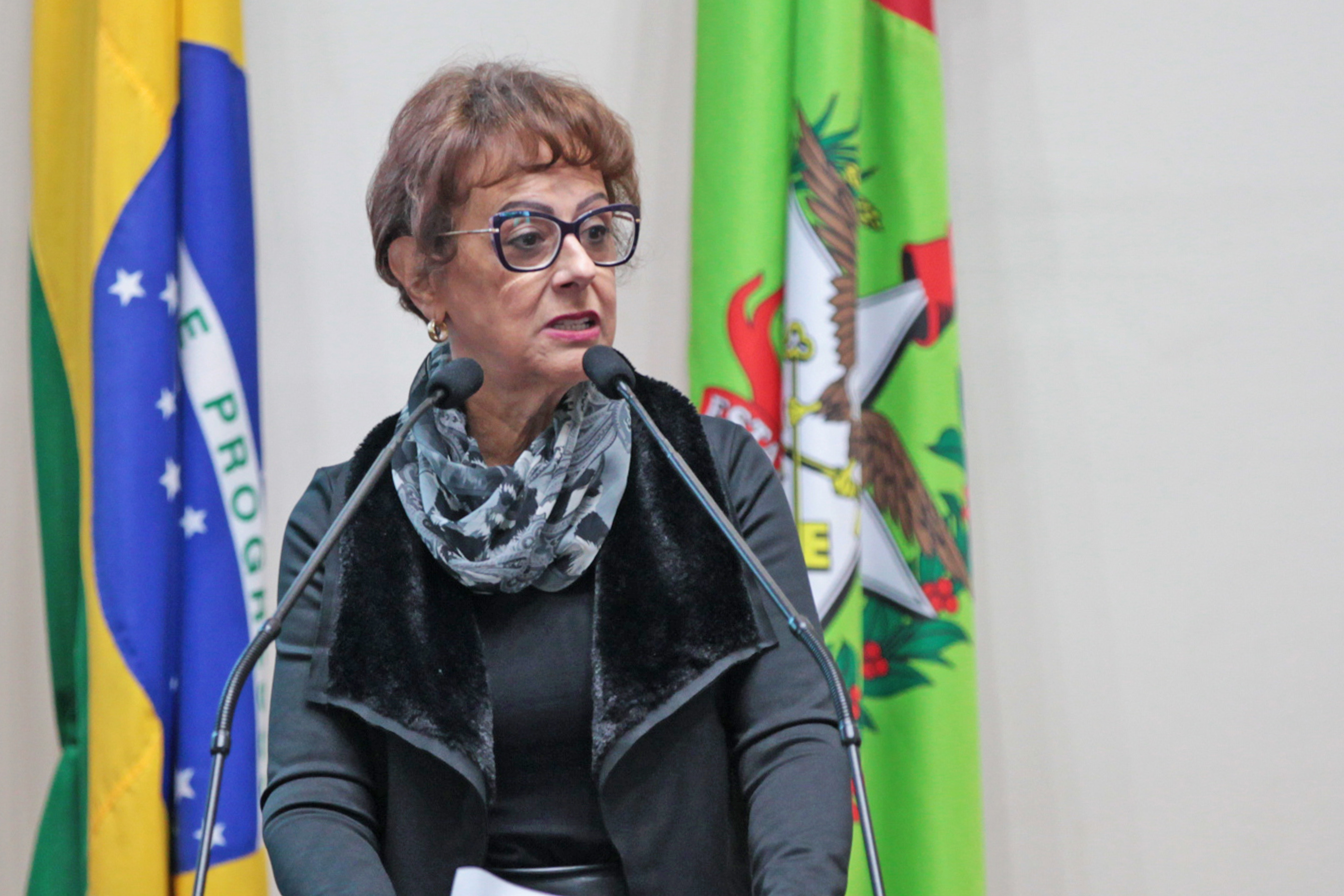 Deputada Dirce Heiderschaeidt (MDB).  Sessão Ordinária