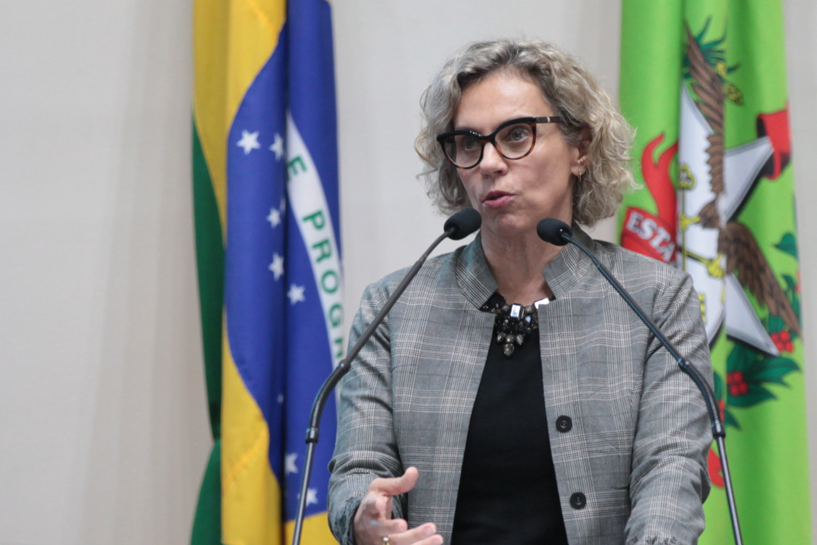 Deputada Ana Paula Lima (PT). Sessão Ordinária